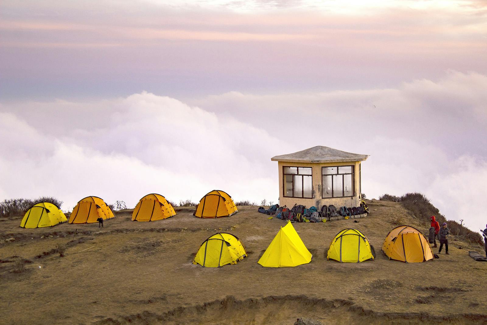 087a3065 1ffe 470e a456 3918c652e74c sandakphu skp jan 2019 indiahikes  shraddha tamore   campsite 