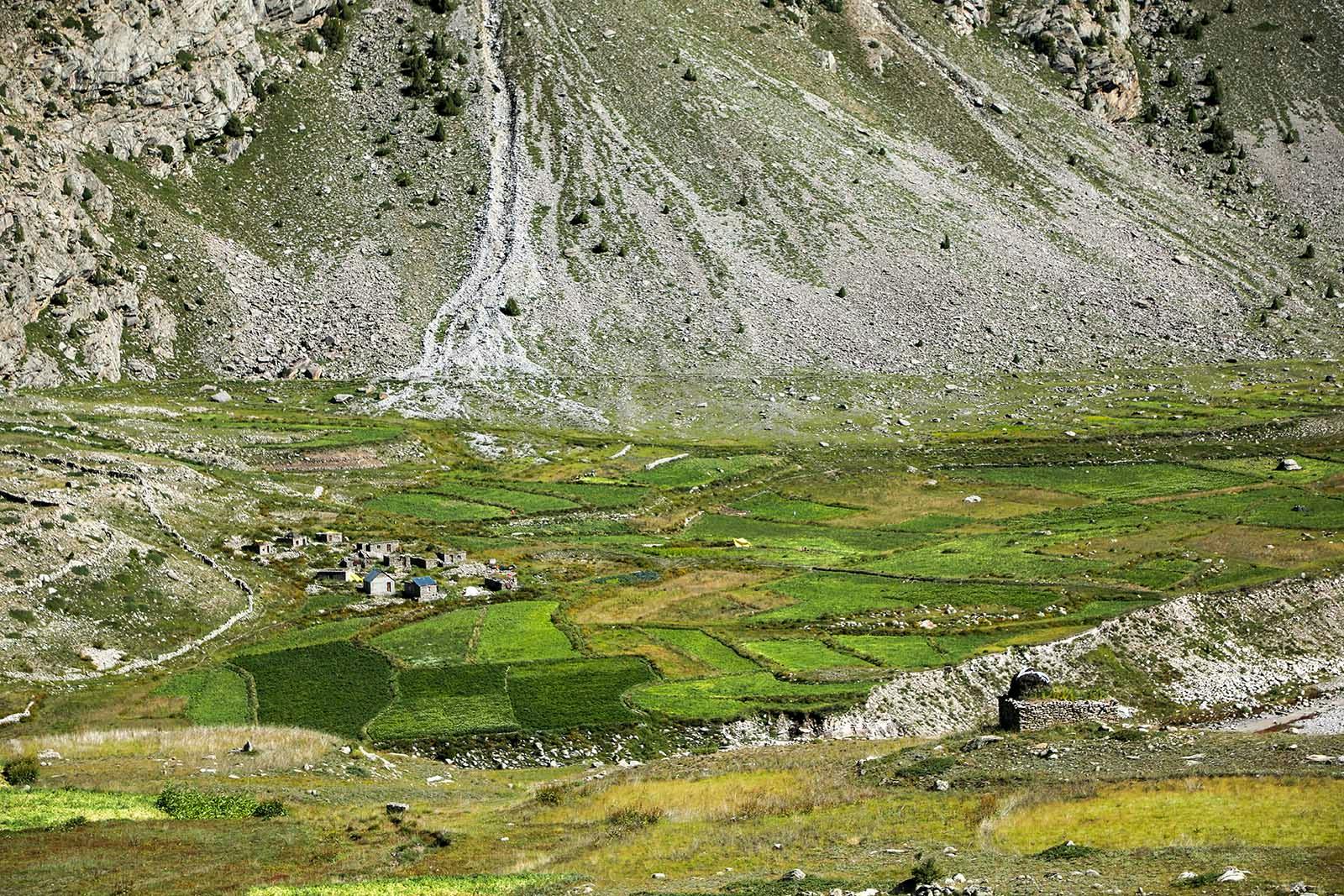 0938a853 c056 4de9 b5aa b76768d266c0 miyar valley indiahikes jothiranjan sep2021  %2823%29