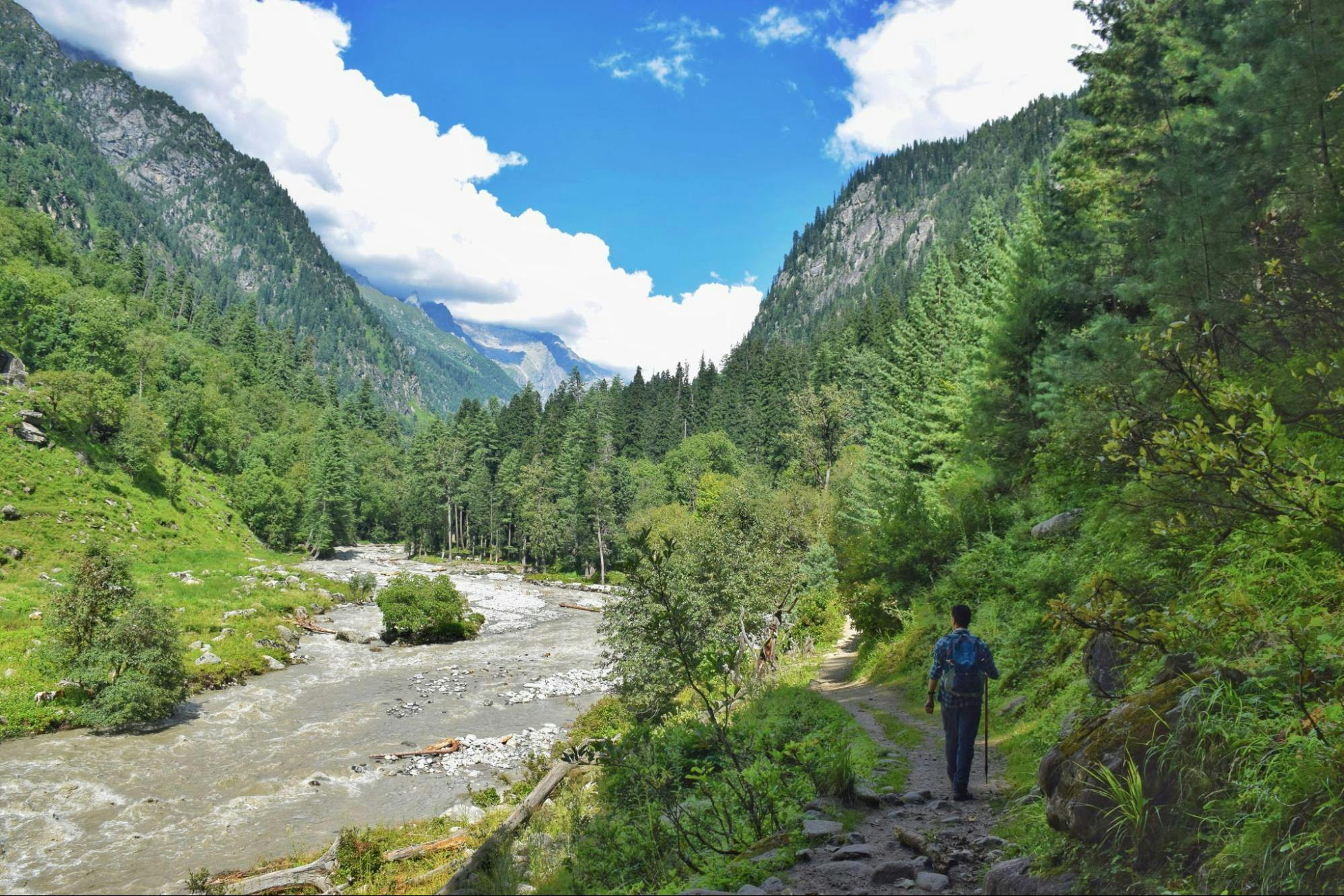 0982d548 0c70 4501 a96d 0381bfc6f339 day 2 trail brammah valley indiahikes nitesh kumar