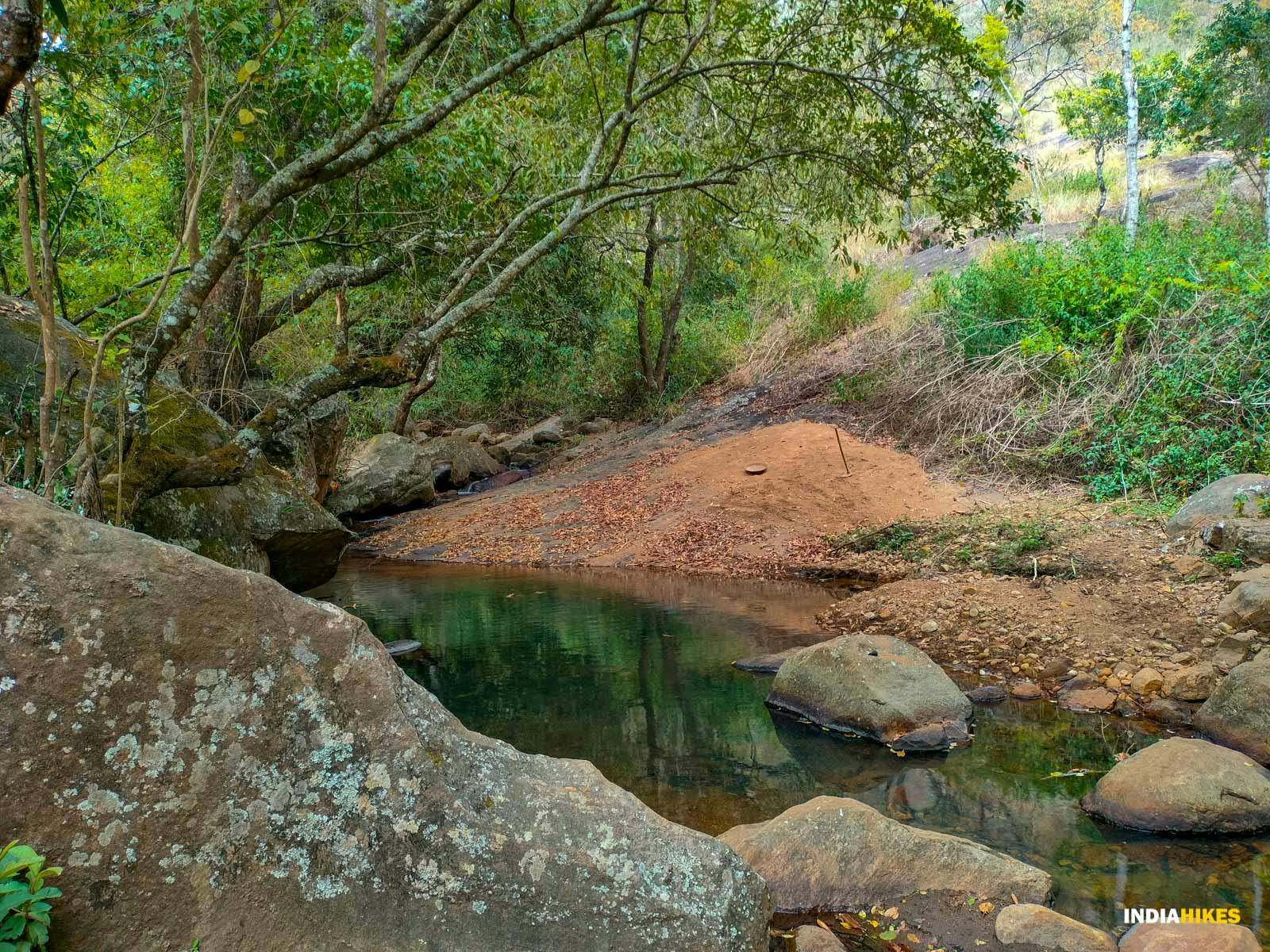 14a813df 99c3 470b 980b c73bf5d9d7a8 kodaikanal campus indaihikes16