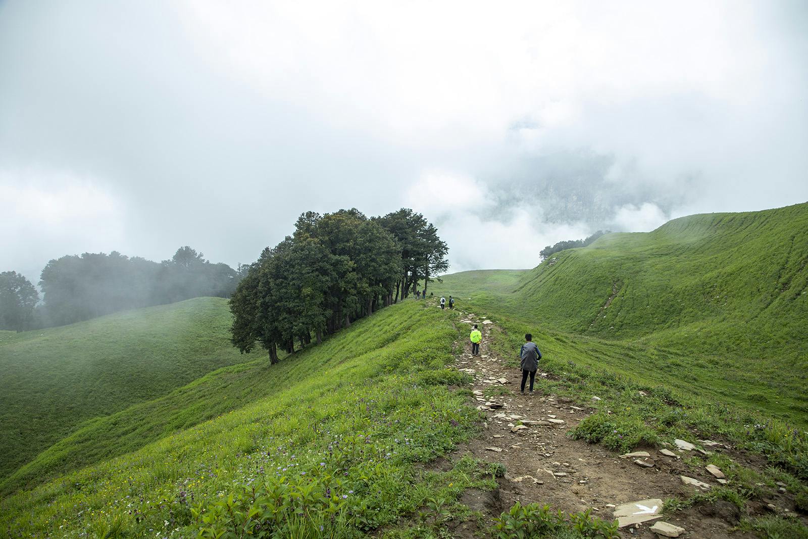 19348408 6f24 4ecf 8f3e a14a501a2e58 bhrigu lake bl indiahikes jothiranjan august 2021 towards guleba 