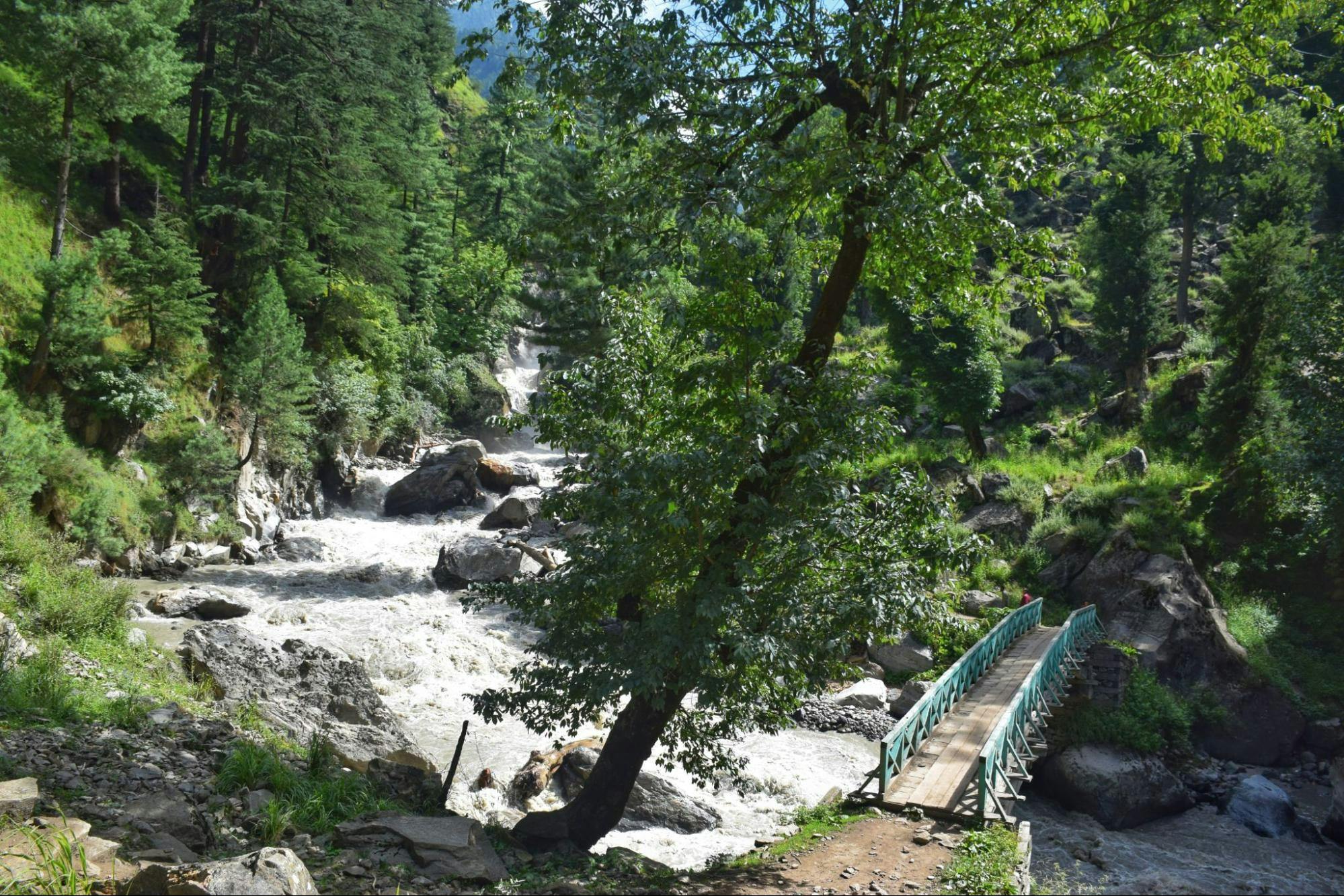 19762391 f8a3 40fe b567 dd83676d773f bridge day 2 brammah valley indiahikes nitesh kumar