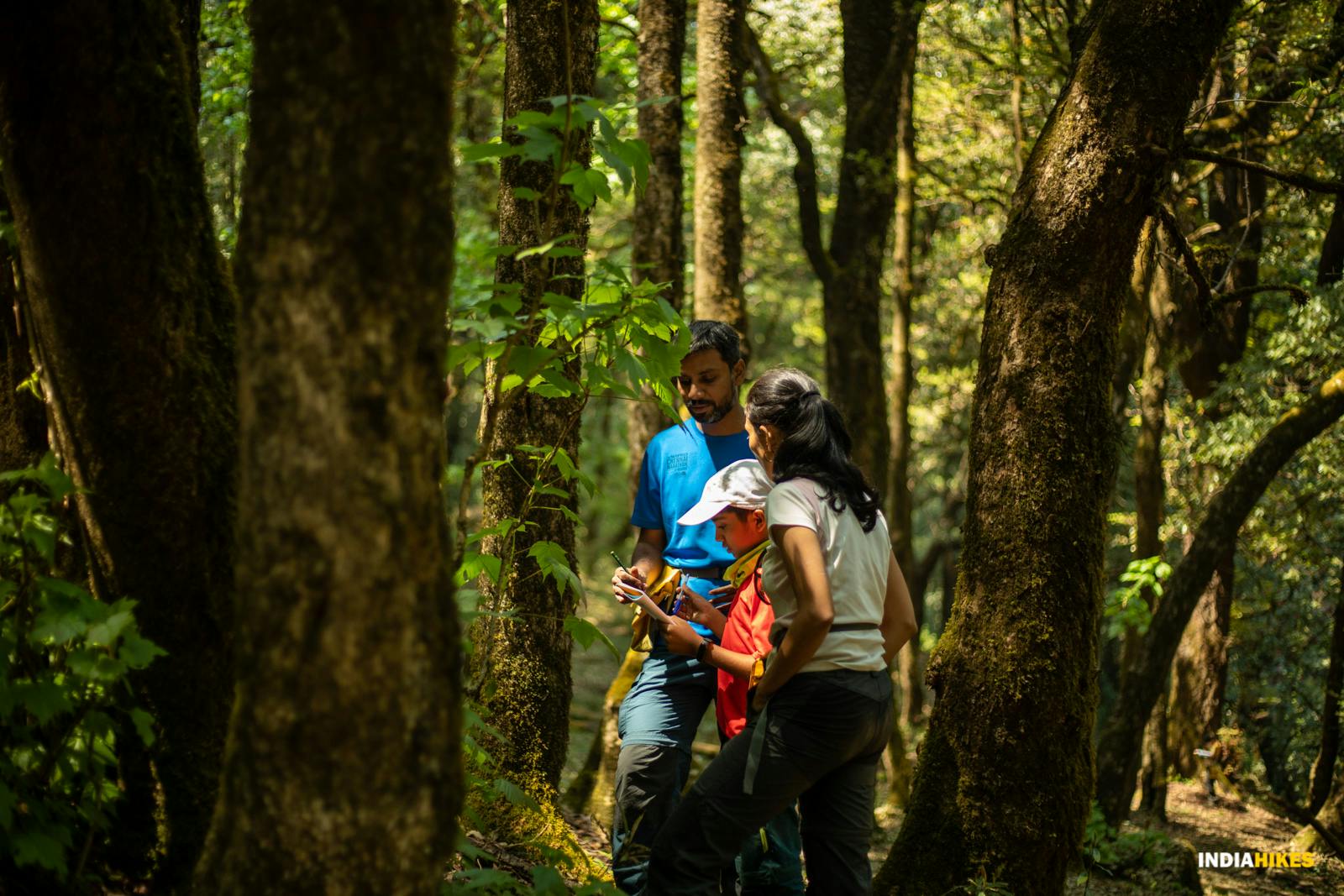 19b1311d 437d 4bcf 9d56 b0514dcc0972 deoriatal chandrashila dc family trek jothiranjan april 2022 53 