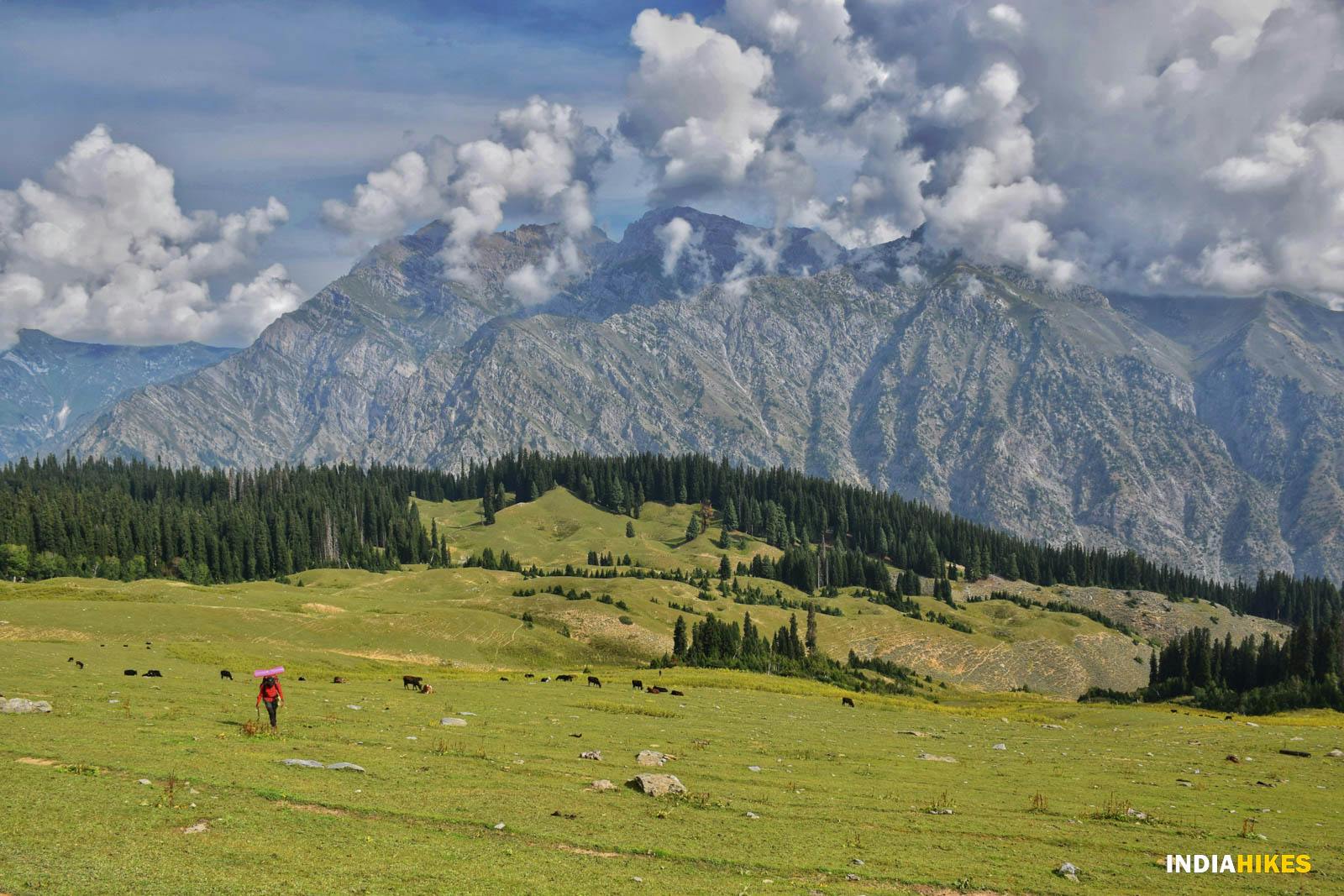 1fbd1290 325b 4b9a 926e c2090faa0d38 gurez valley trek nitesh kumar indiahikes 54