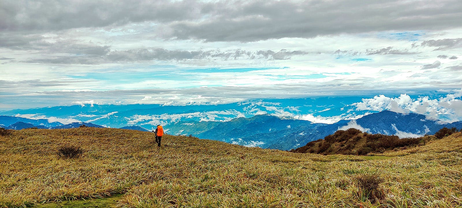 22415af5 fa2e 421c b5d9 d7477732123f sandakphu phalut indiahikes subhash gamit october 2021 %282%29