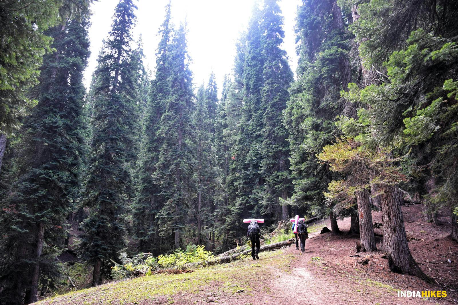 25aa66cb e4b1 4296 8b25 8590d0cee825 gurez valley trek nitesh kumar indiahikes 70