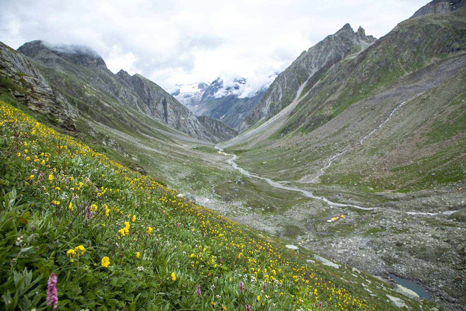 2b3fead6 c3c0 4083 a3bf c8ad6bd77dc7 hampta pass hp indiahikes jothiranjan towards sheaguru campsite august 2021 11 