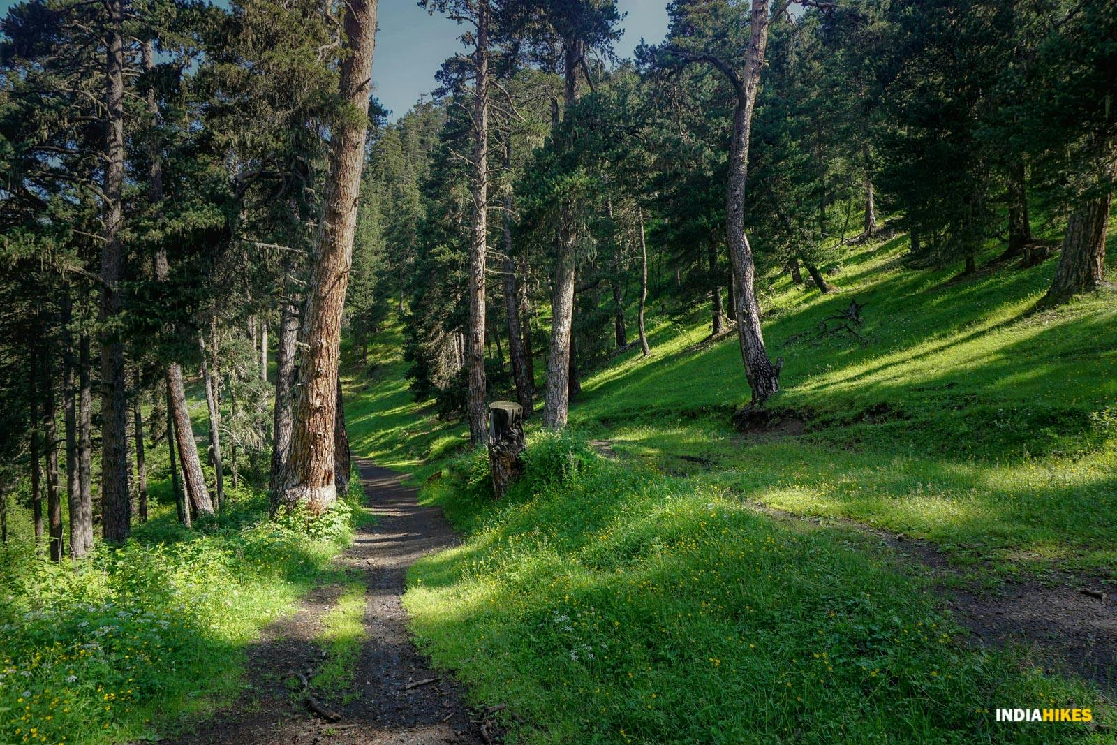 2b70d504 0f13 42b5 b613 b7742ce4b5f0 atsunta pass trek georgia sandhya uc indiahikes %2829%29