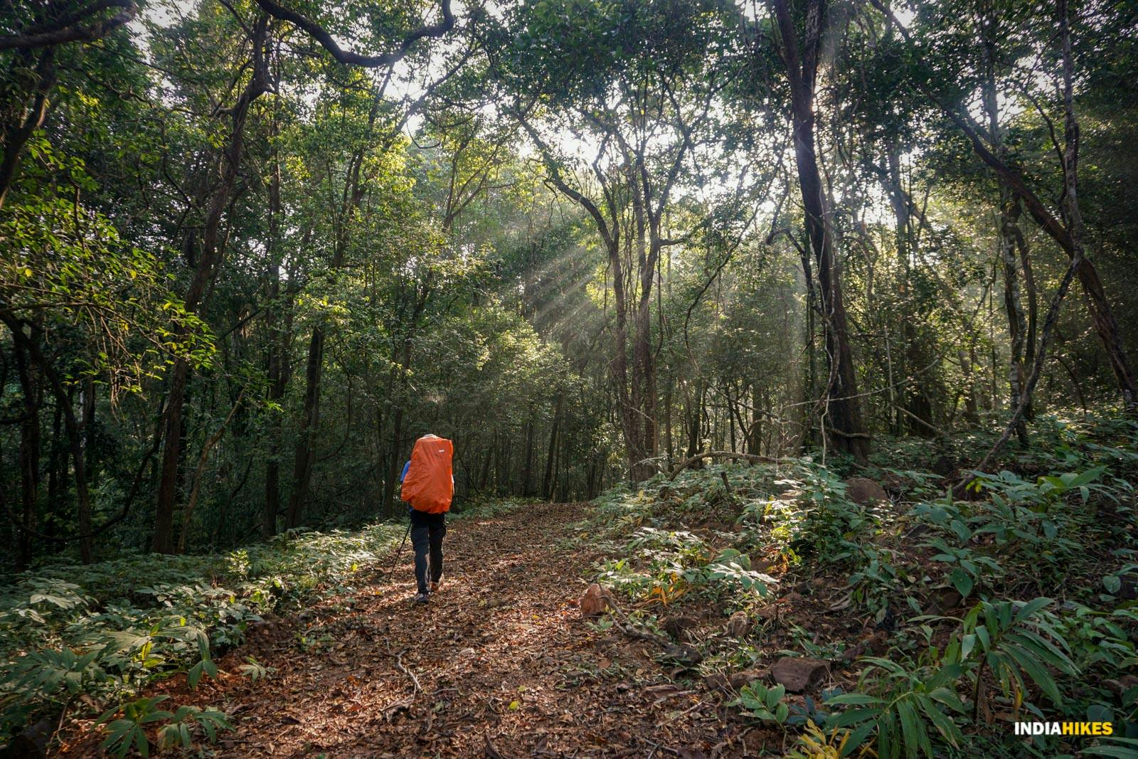 2eff2da7 d4ae 4bc7 817c e91fe235b889 goa netravali forest trek day 1 of the trek in forest of netravali suhas saya indiahikes