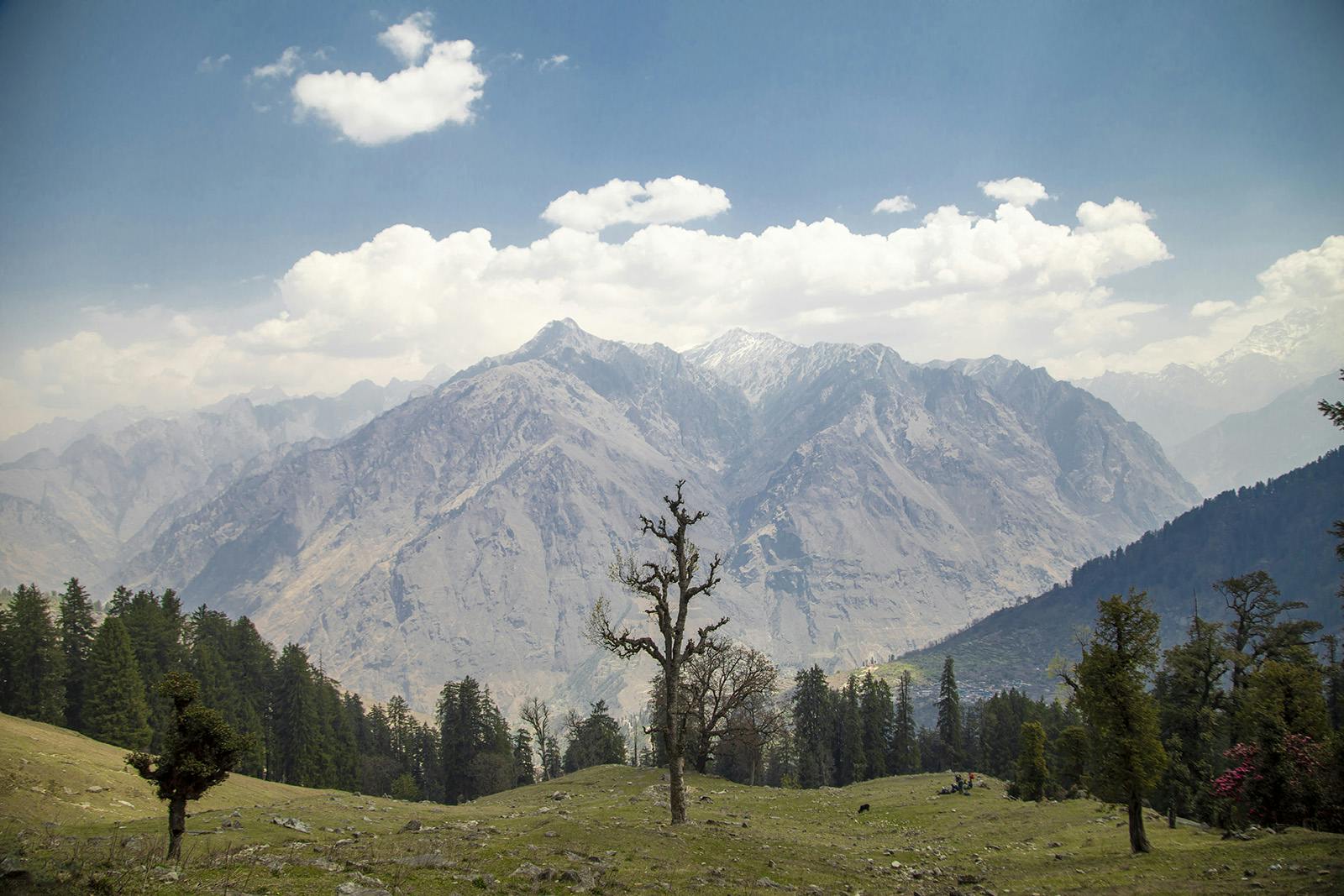 2f768d66 eaed 44a5 acf6 81d1ddda066d pangarchulla trek pg indiahikes jothiranjan khullara to tapovan forest 4 akhrotghetta campsite 