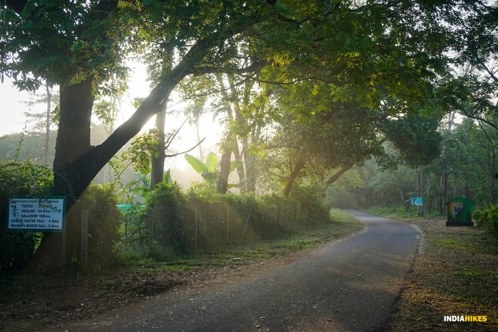 322c8a65 3979 45b7 9b87 e137e6c1d19a goa netravali forest trek starting from netravali wildlife sanctuary suhas saya indiahikes