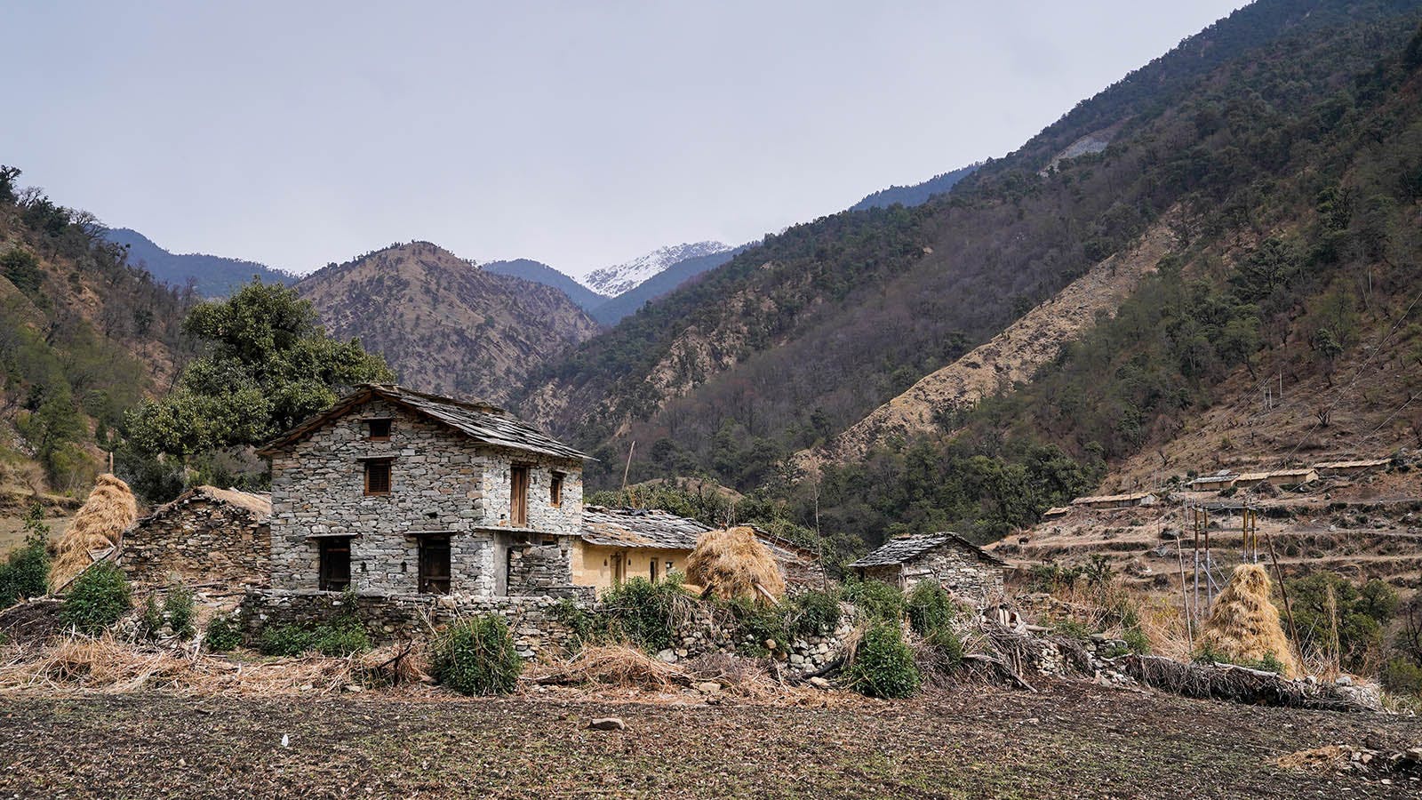 459d3a17 e27a 4197 81de 10bfb837ef66 ali bedni bugyal trek   march 2021   indiahikes   photo trekker   yash trivedi   day02 didina village 