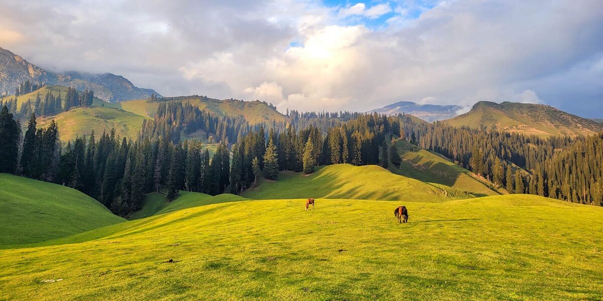 Nafran Valley