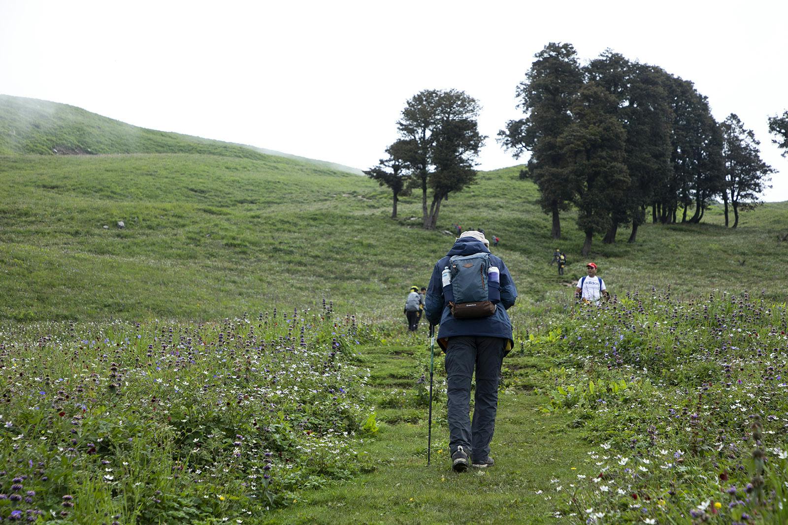 518a6b45 d93a 4ead 94f0 11b4d8bb1cfc bhrigu lake bl indiahikes jothiranjan trailwithtrekkers 2021 