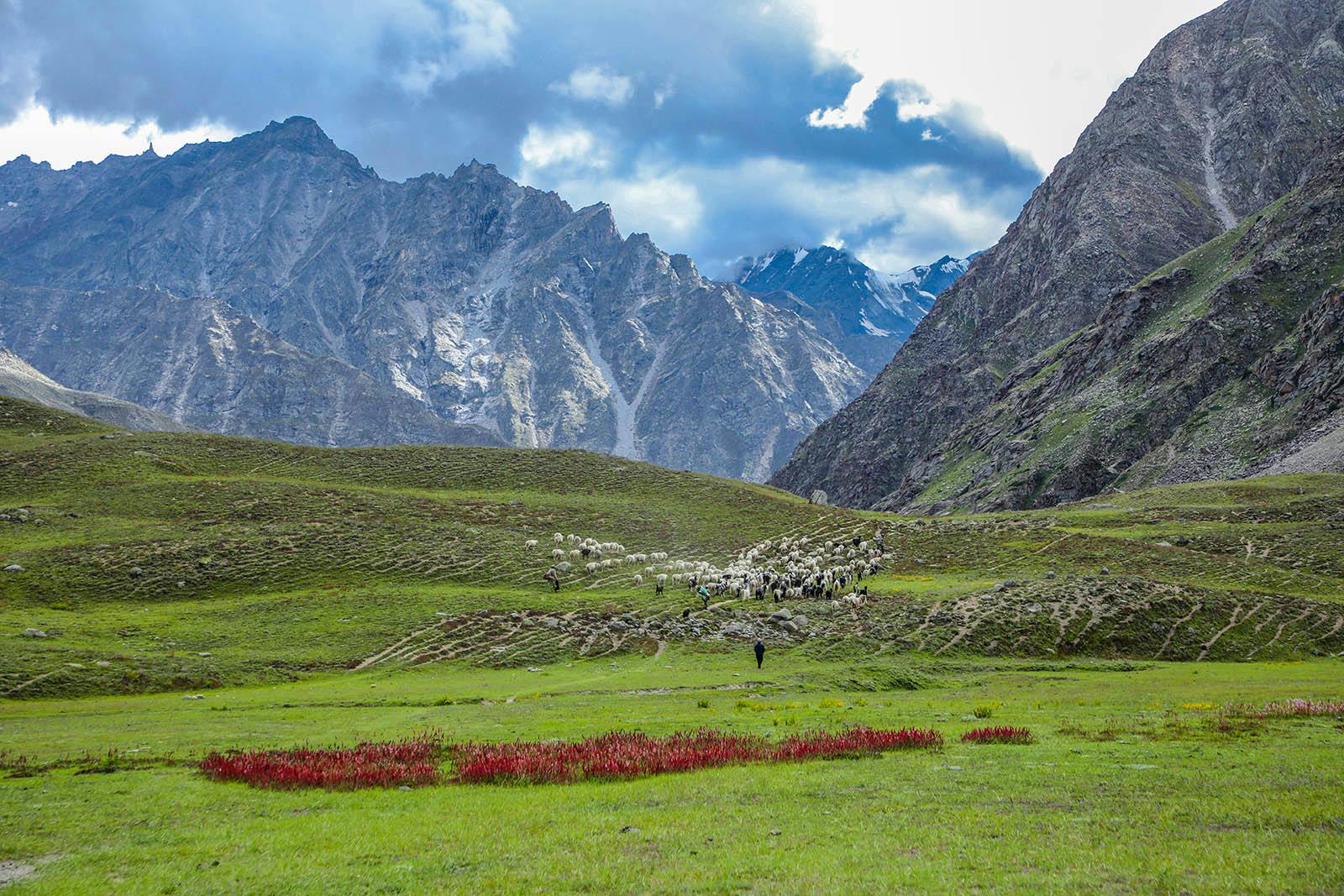 556744d2 ef18 4a7c a703 c99d105375c6 miyar valley indiahikes jothiranjan sep2021  %2833%29