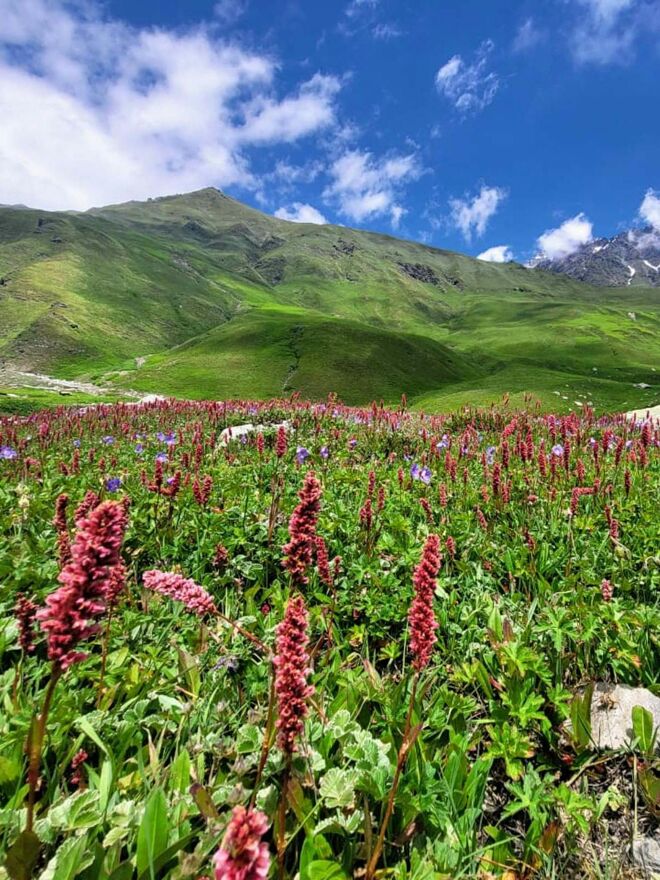 The meadows of Karah on the Pin Bhaba Pass trek