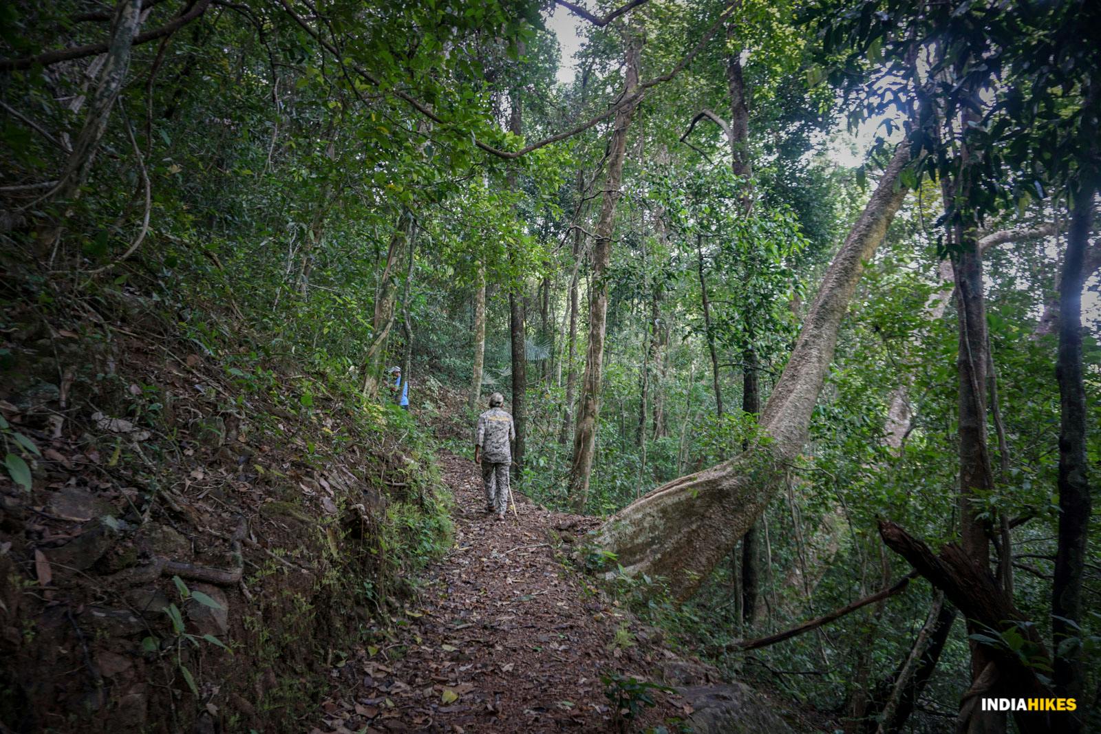 710cf34a aaeb 4c60 b449 04b3b8d045e2 goa netravali forest trek ascending back in the forest after mainapi waterfalls suhas saya indiahikes