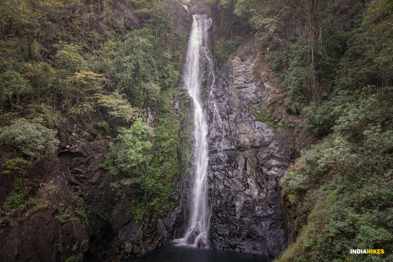 7ab50380 6618 45d2 b519 37cb946209ad goa netravali forest trek mainapi waterfalls suhas saya indiahikes