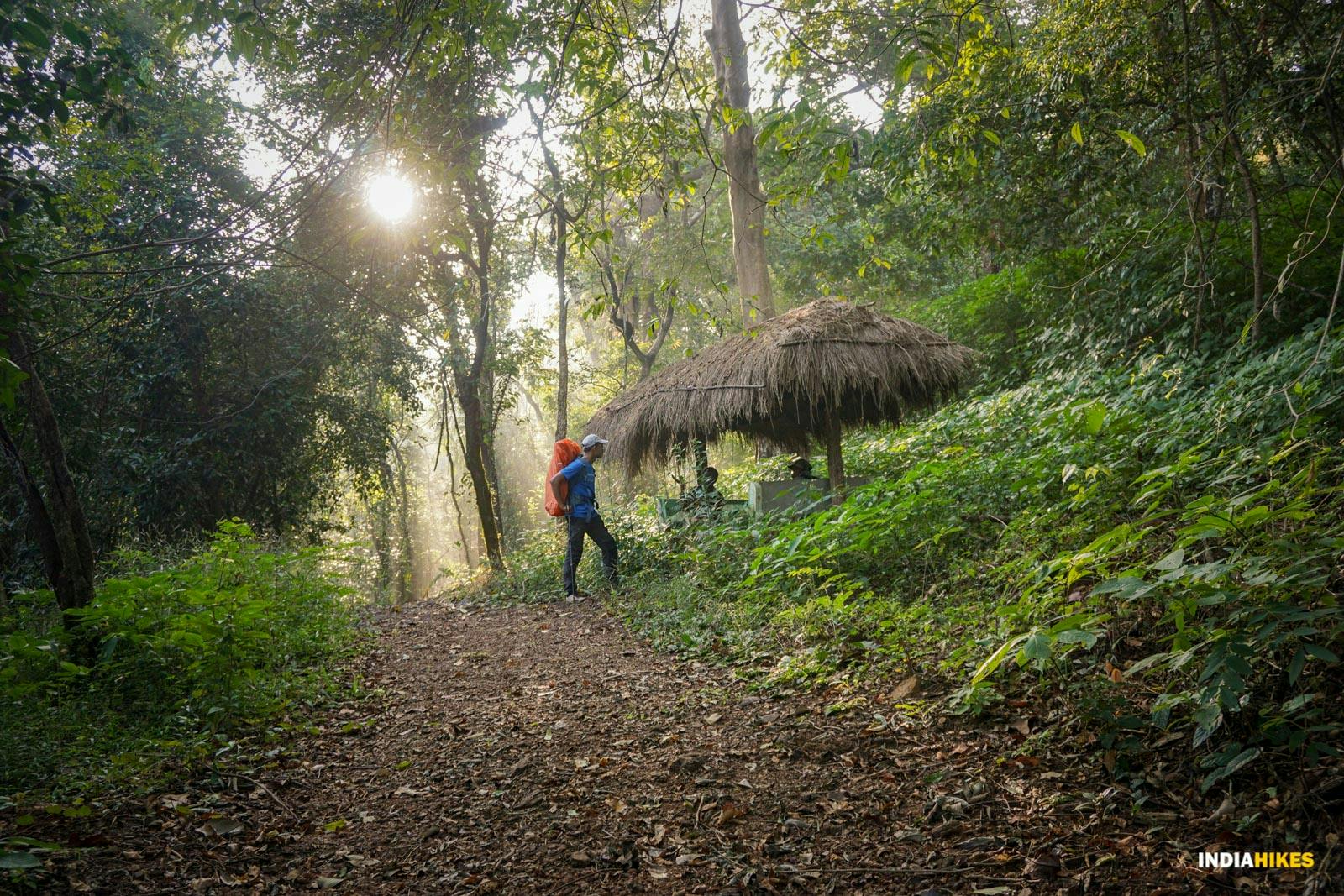 7e1d2370 7706 4ac6 8445 0da339881c26 goa netravali forest trek straw forest huts on trail suhas saya indiahikes