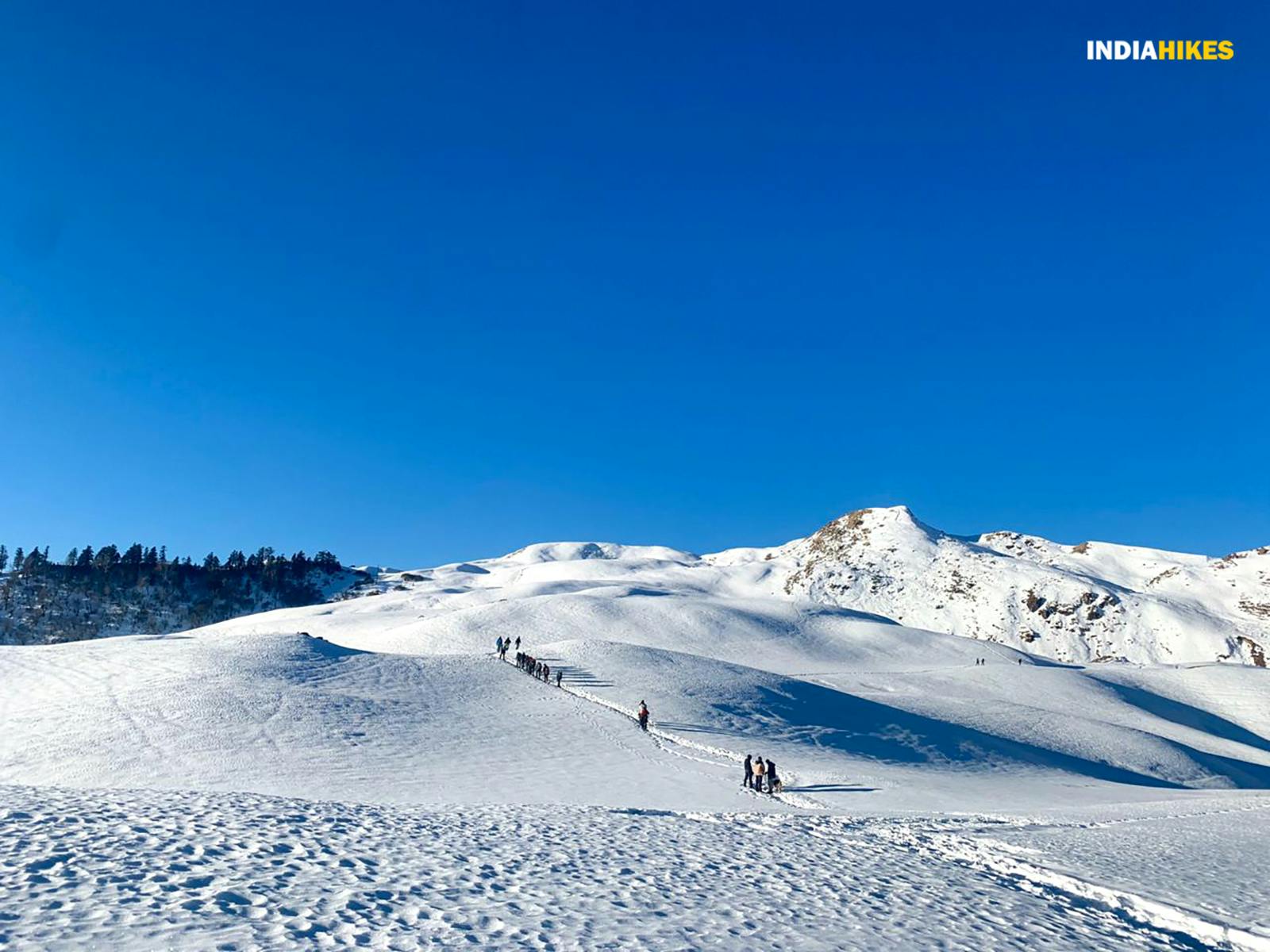 83088e19 cbfa 4bc0 a7d0 0cd7b65f45bf dayara bugyal winter indiahikes 