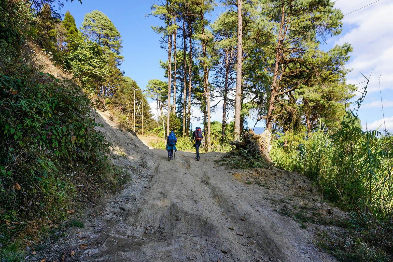 83f53642 0d74 48c0 a0da 6b5c8c6b9e71 sandakphu phalut indiahikes trekker towards soman