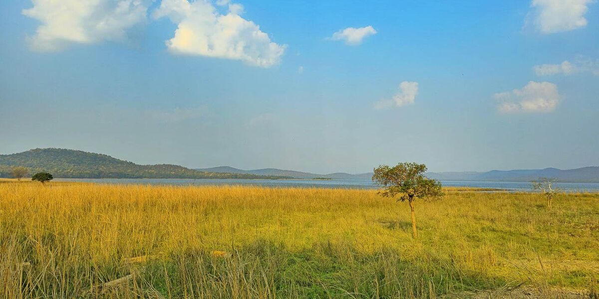 Odisha Debrigarh Sanctuar...