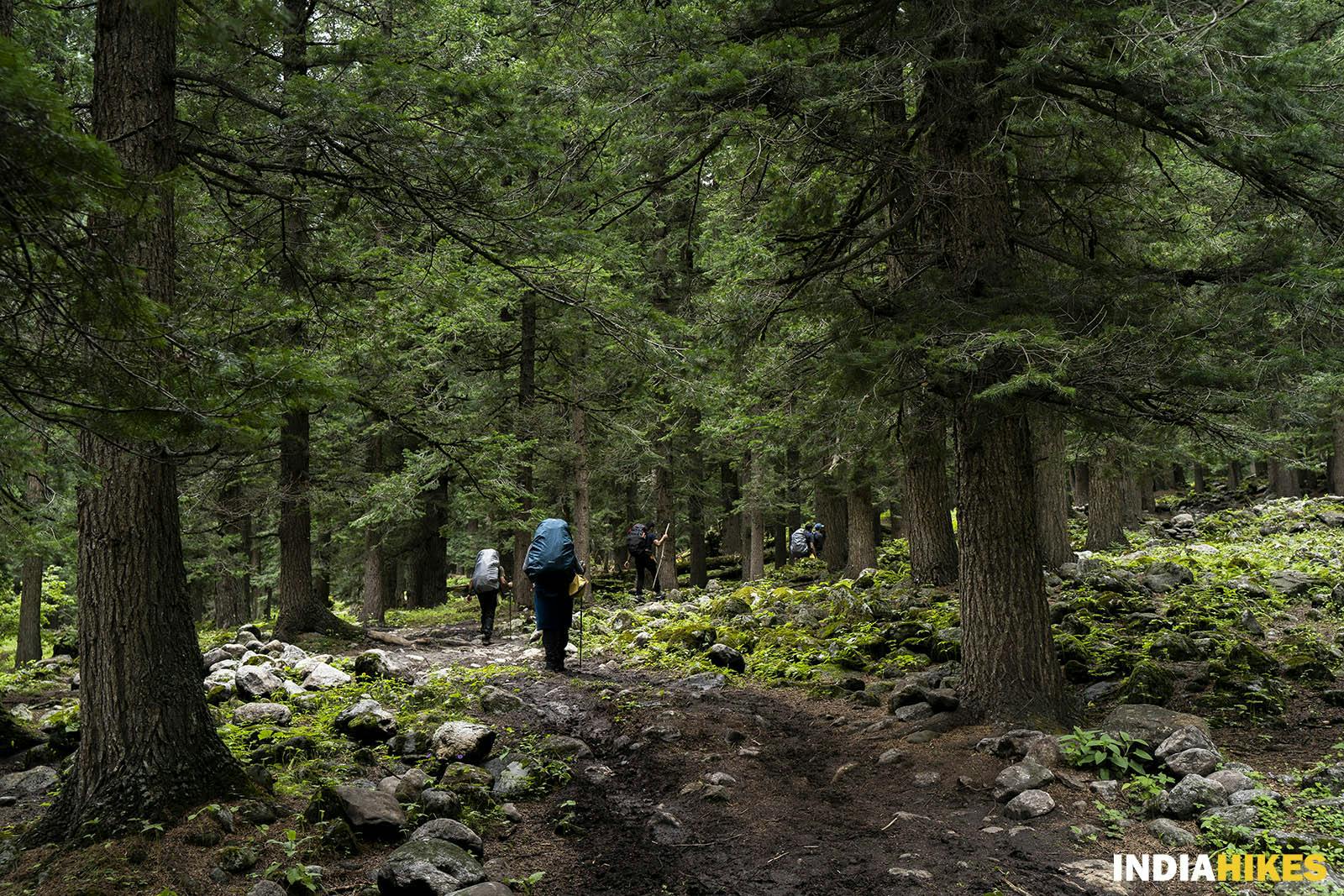 92457 pin bhaba trek kafnu to mulling sayandeep indiahikes 07 1