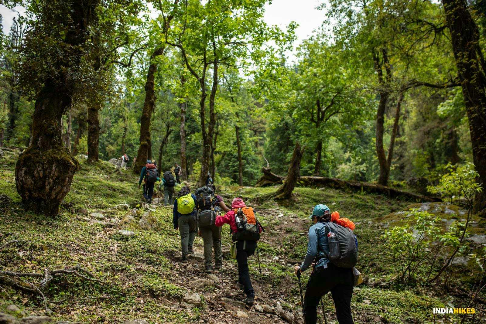 935c8595 666b 4960 a7ba a3f591478ea4 phulara ridge trek jothiranjan 2023 april month  11