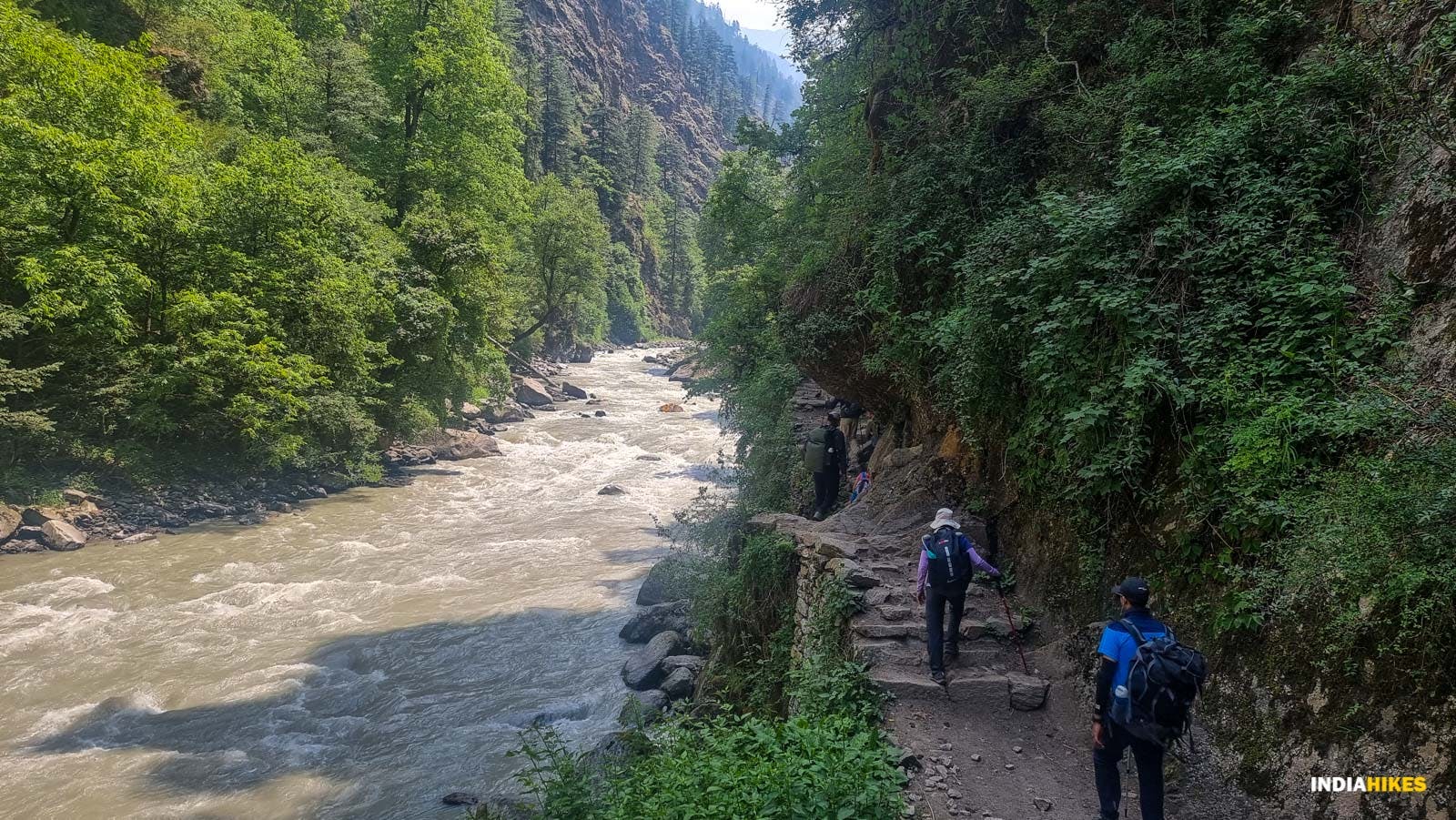 9f5b0003 1a12 4378 8e7a 4c971239dec1 har ki dun trek dhaval jajal  june 2022 monsoon trek  4