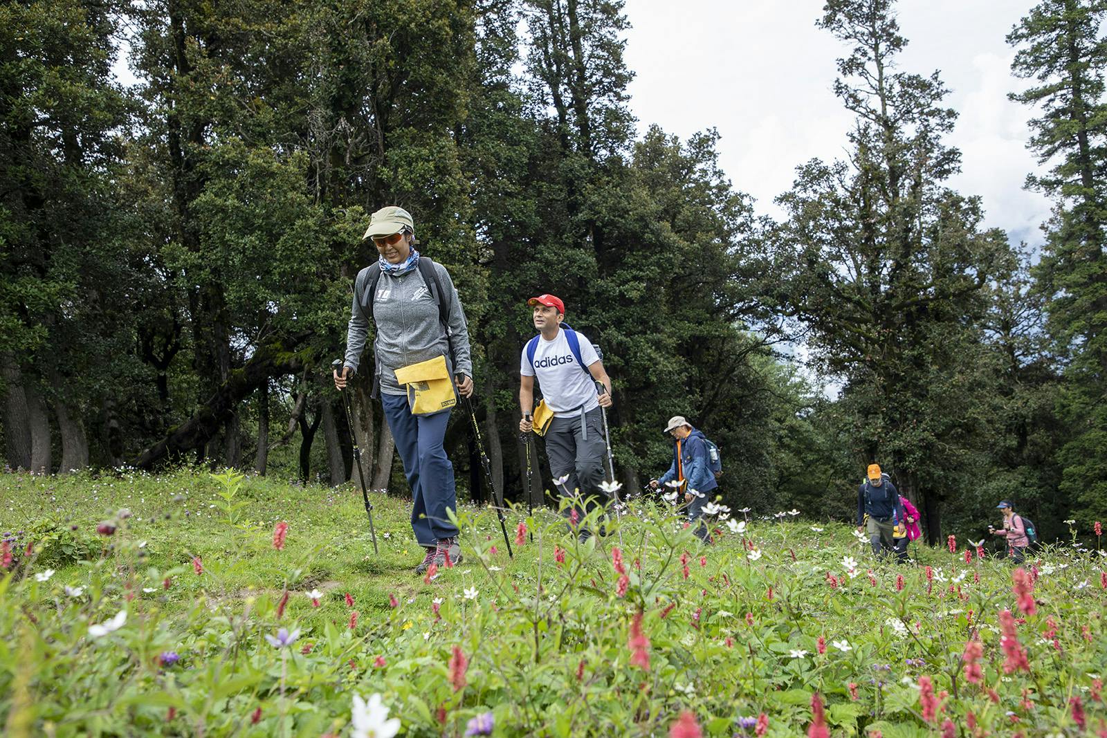 a3cbe0d9 8124 46ce 884a aaa6513cbb59 bhrigu lake bl indiahikes jothiranjan trailwithtrekkers 