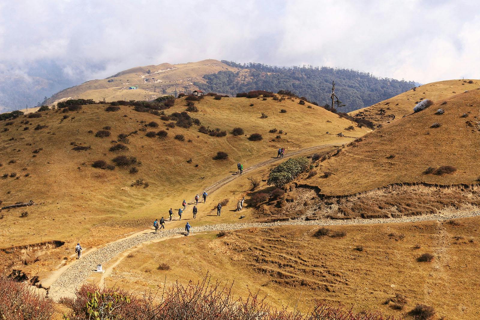 a68018a4 8f0b 47d6 98bc 2e9de3591c6e sandakphu skp dec 2018 indiahikes  snehil suthar trailwithtrekkers 1