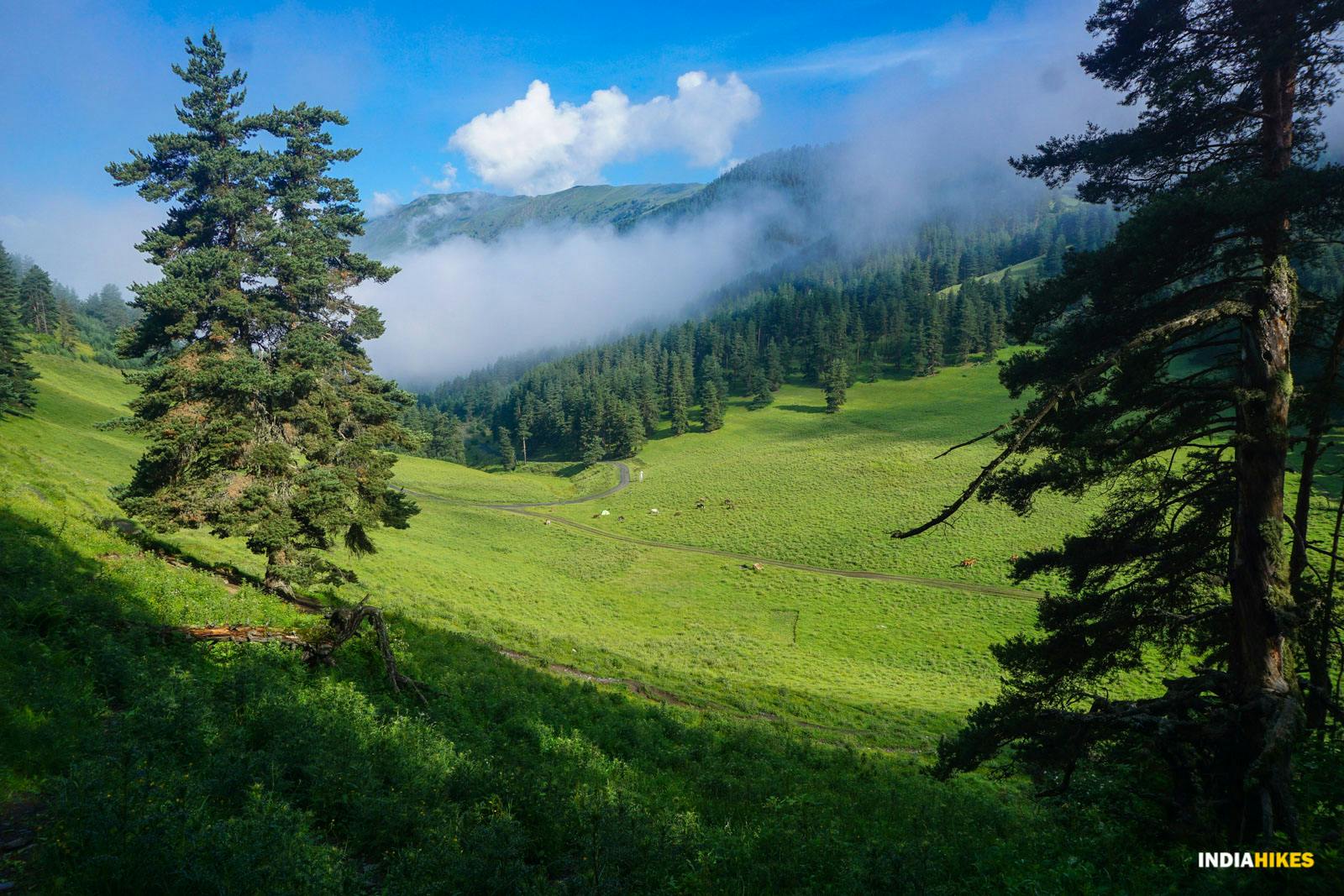 af722b9f 3906 48a1 8db2 7875987305b0 atsunta pass trek georgia sandhya uc indiahikes %2827%29