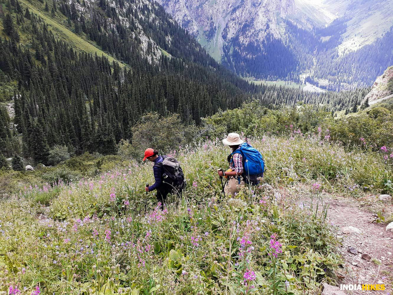 b84d6ef6 81f2 4175 a894 78e9f86a8ae5 a steep descent to sirota indiahikes arjun majumdar