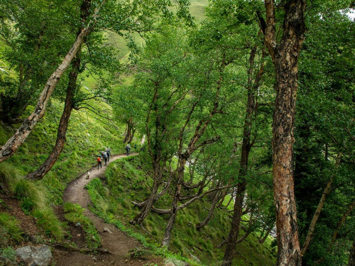 Manali Kaisdhar Trek