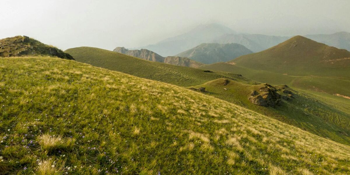 Dayara Bugyal Trek