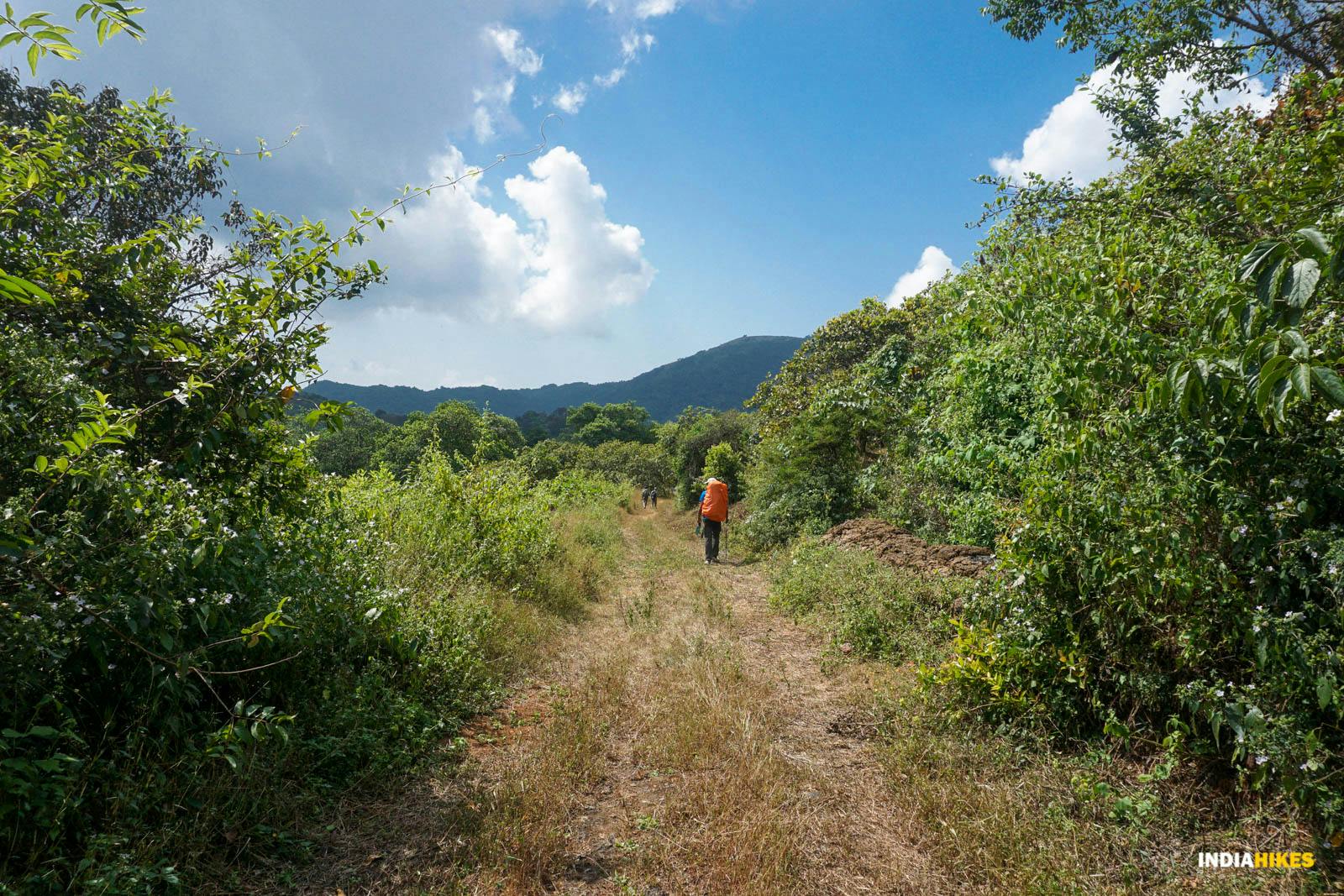 cbe36765 f981 49c8 9469 b56384dfc1ca goa netravali forest trek reaching verlem suhas saya indiahikes