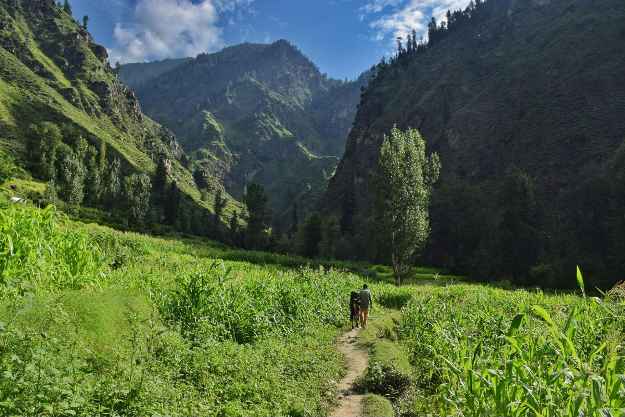 d2f25a29 acb9 422e b00d b4d84dd335b7 start of the trek brammah valley indiahikes nitesh kumar