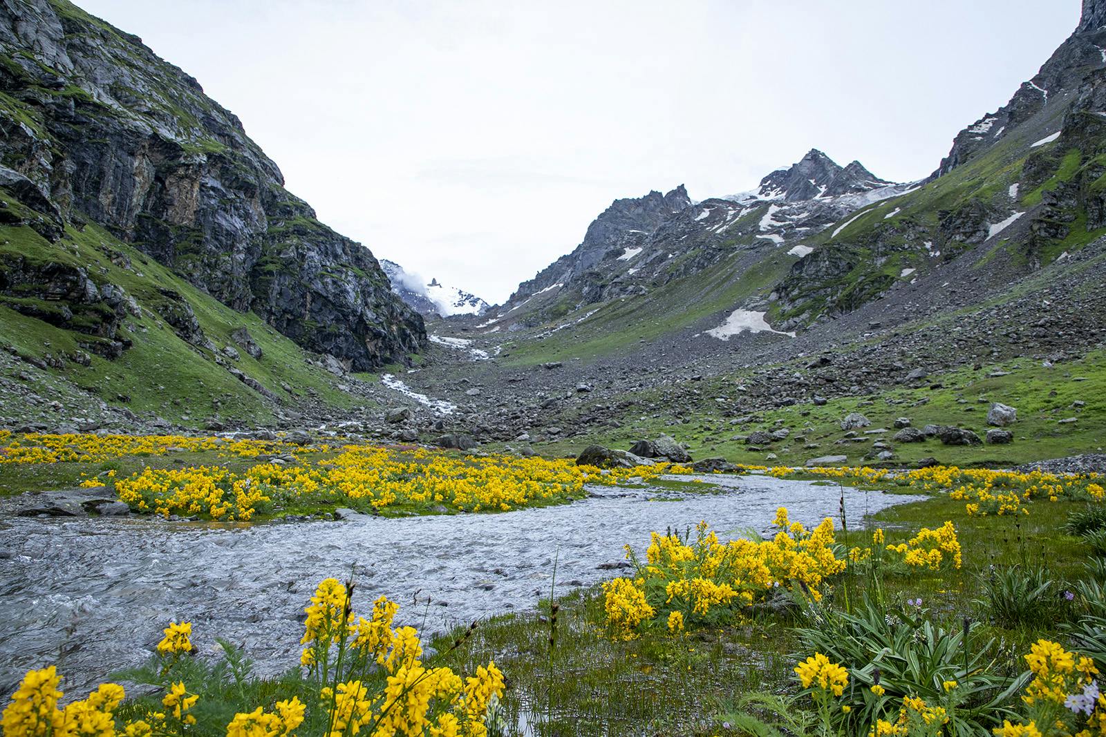 d3c0f6e3 6b30 4ccd aa15 dbeee5c21c1c hampta pass hp indiahikes jothiranjan balu ka gera campsite august 2021 11 