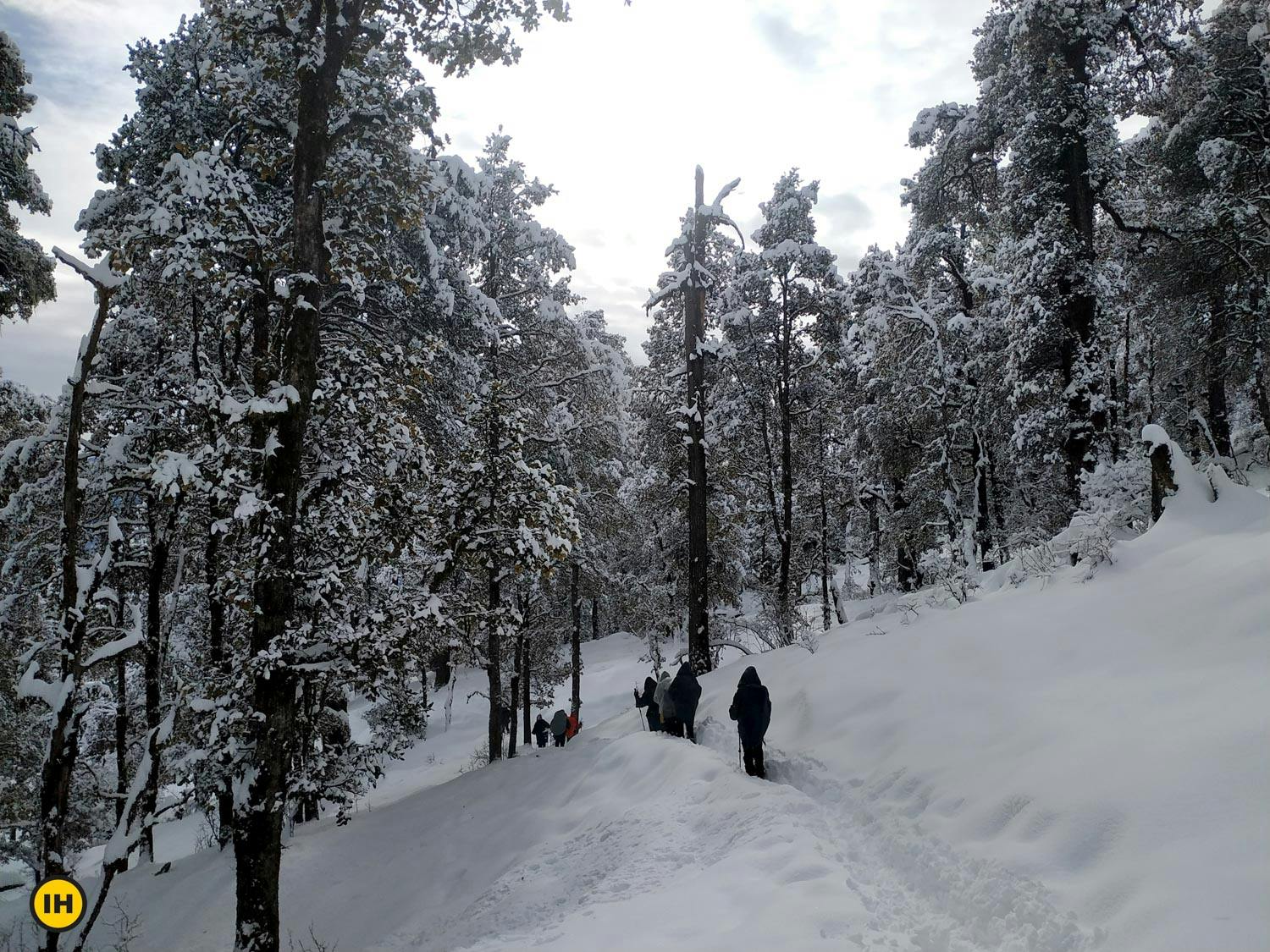 d84f35d3 e035 4f2f a51e bfecbdbcda1d dayara bugyal db pranav dharamsey4 snow trailwithtrekkers 