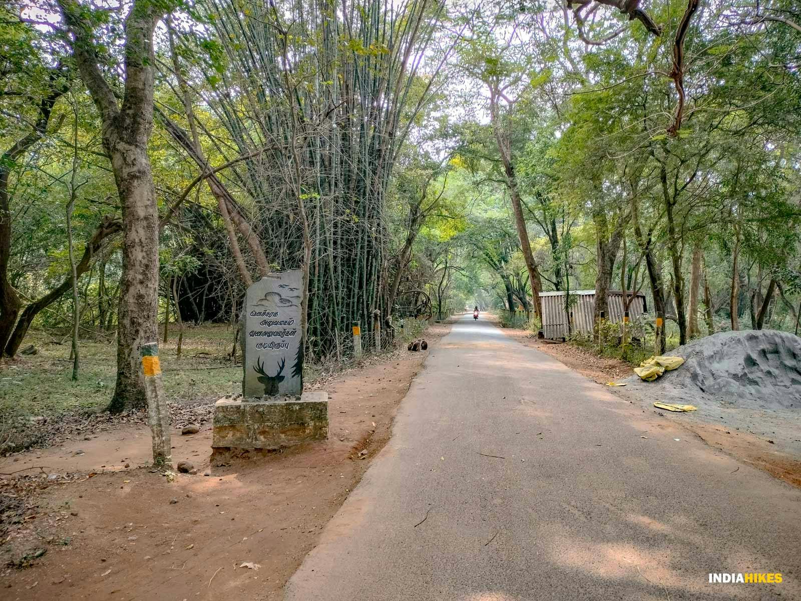 df5e478d 9874 4bfa a493 4a923d0fbf7c vellore amirthi forest trek entering the amirthi wildlife sanctuary exploration suhas saya indiahikes january 2024