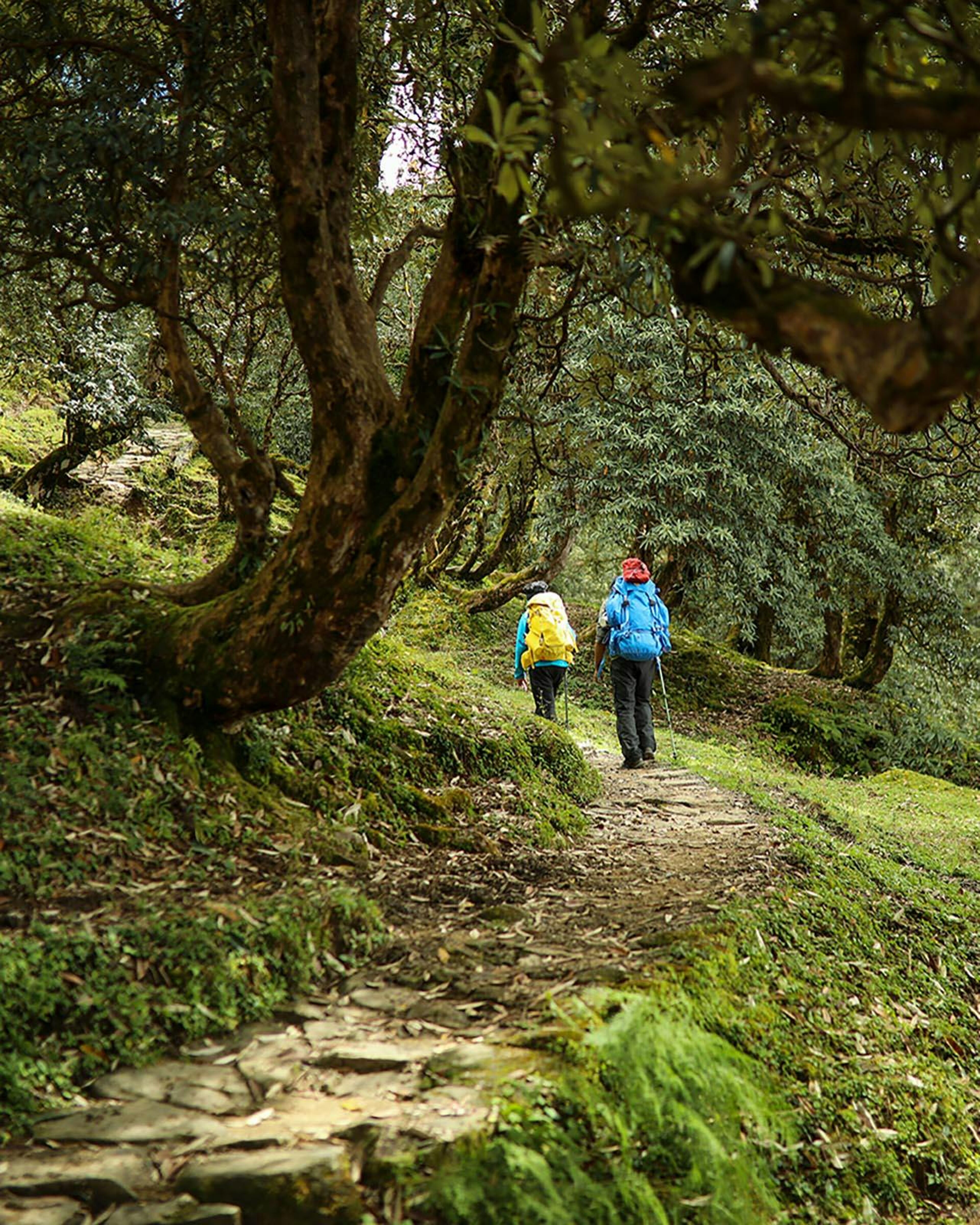 portrait photo of two trekkers walking on the Ranthan Kharak trail 