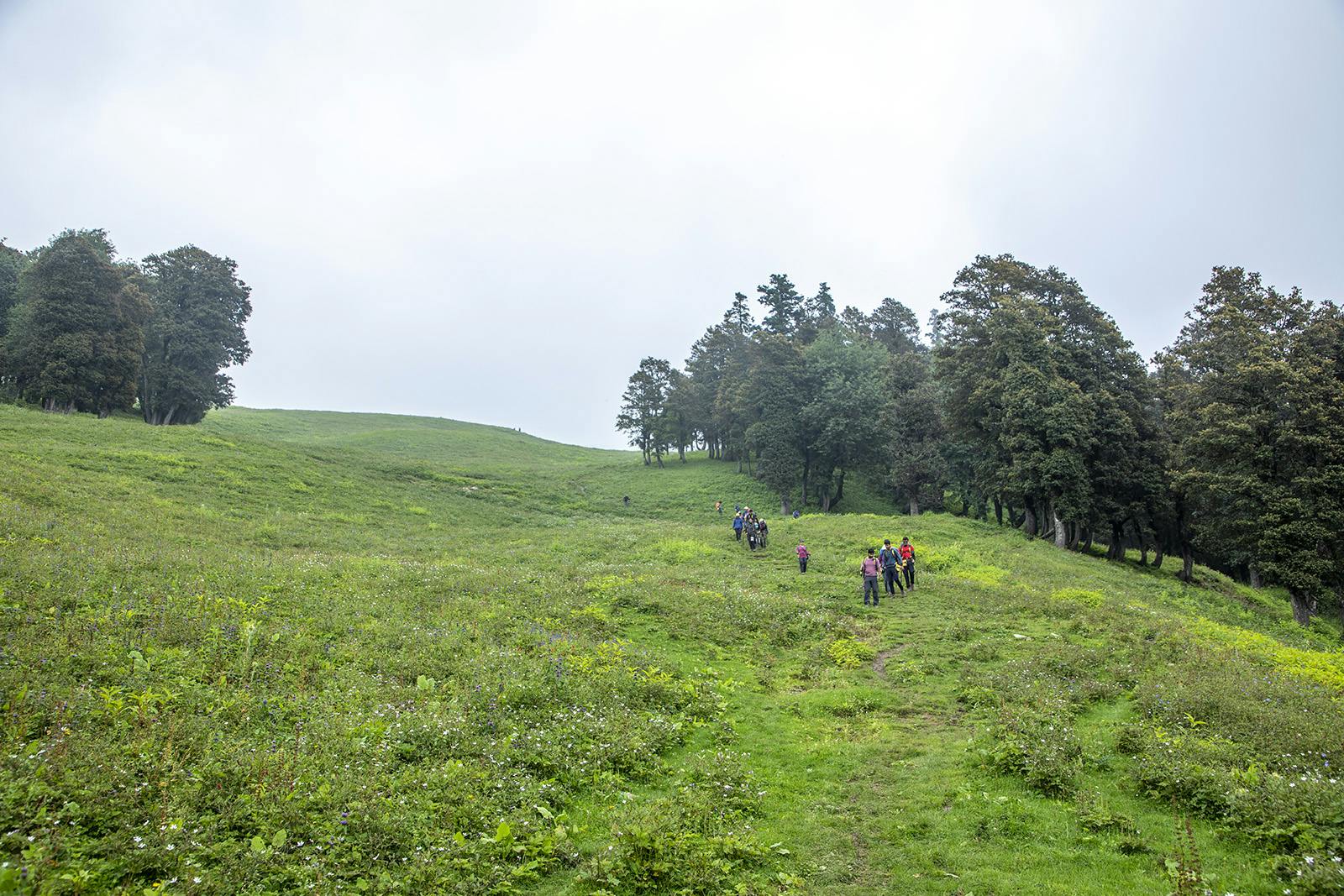 e3f06439 f85d 4111 a543 0a75864558b3 bhrigu lake bl indiahikes jothiranjan trailwithtrekkers 