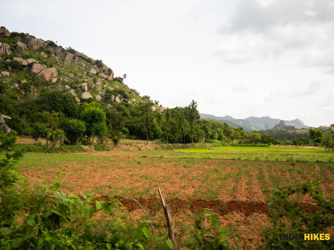 e43b21c5 8929 418f a613 9a5d5ba04b84 minchikall betta  southern campus farmlands at the village of minchikall pritish bhanushali