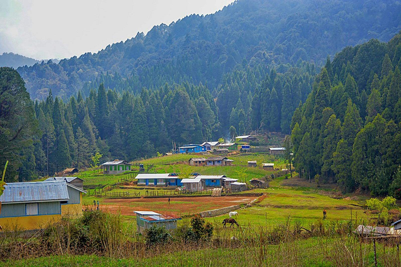 ef0f1d18 bfd0 440d b91a 4440ea3f060d sandakphu skp june 2017 indiahikes sandeep hattalli samanden village 1