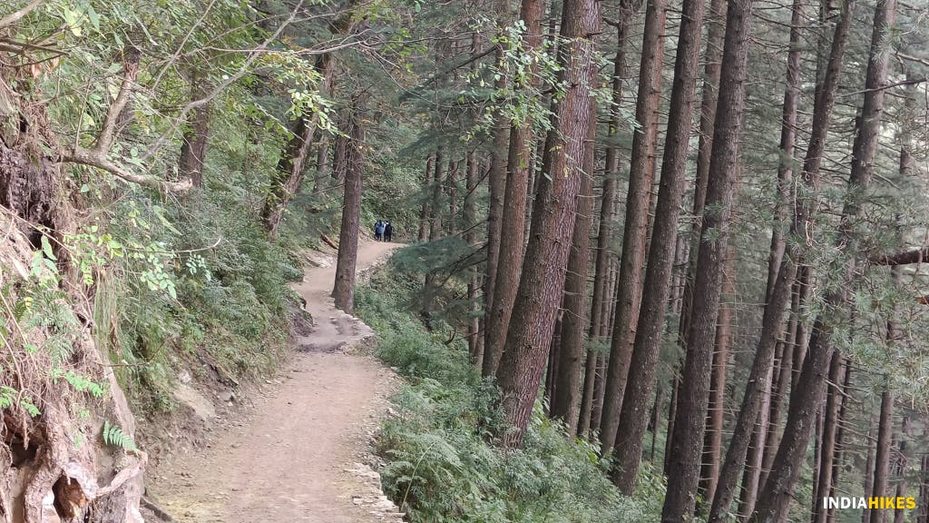 f383c21a 5d00 4b03 a2fd b011fefd32db manali trail walk kaisdhar to peej indiahikes %281%29