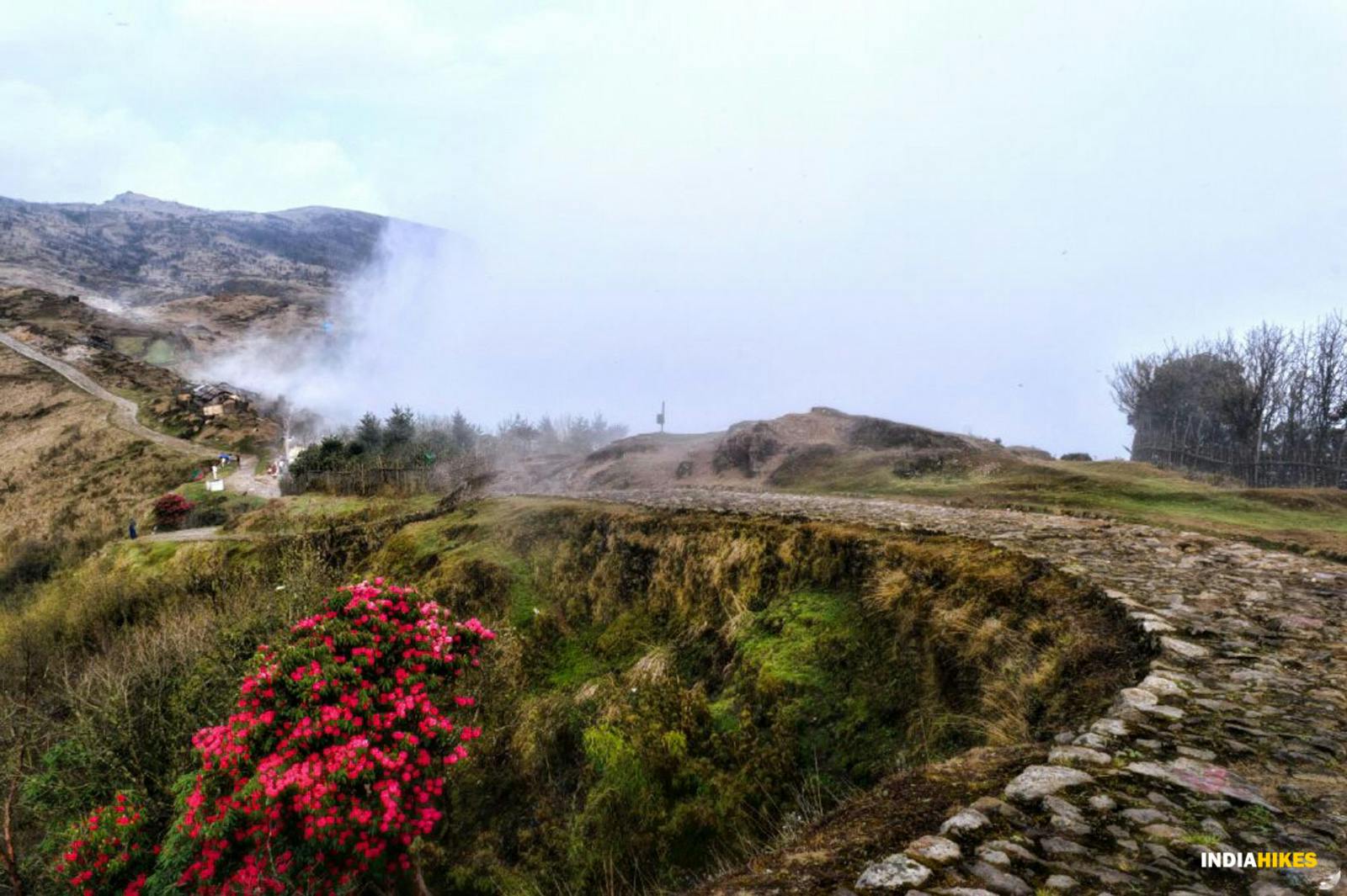 fe1041ed 4ab4 4c25 82c6 190bb6124167 sandakphu milind tambe the road along the clouds tumling