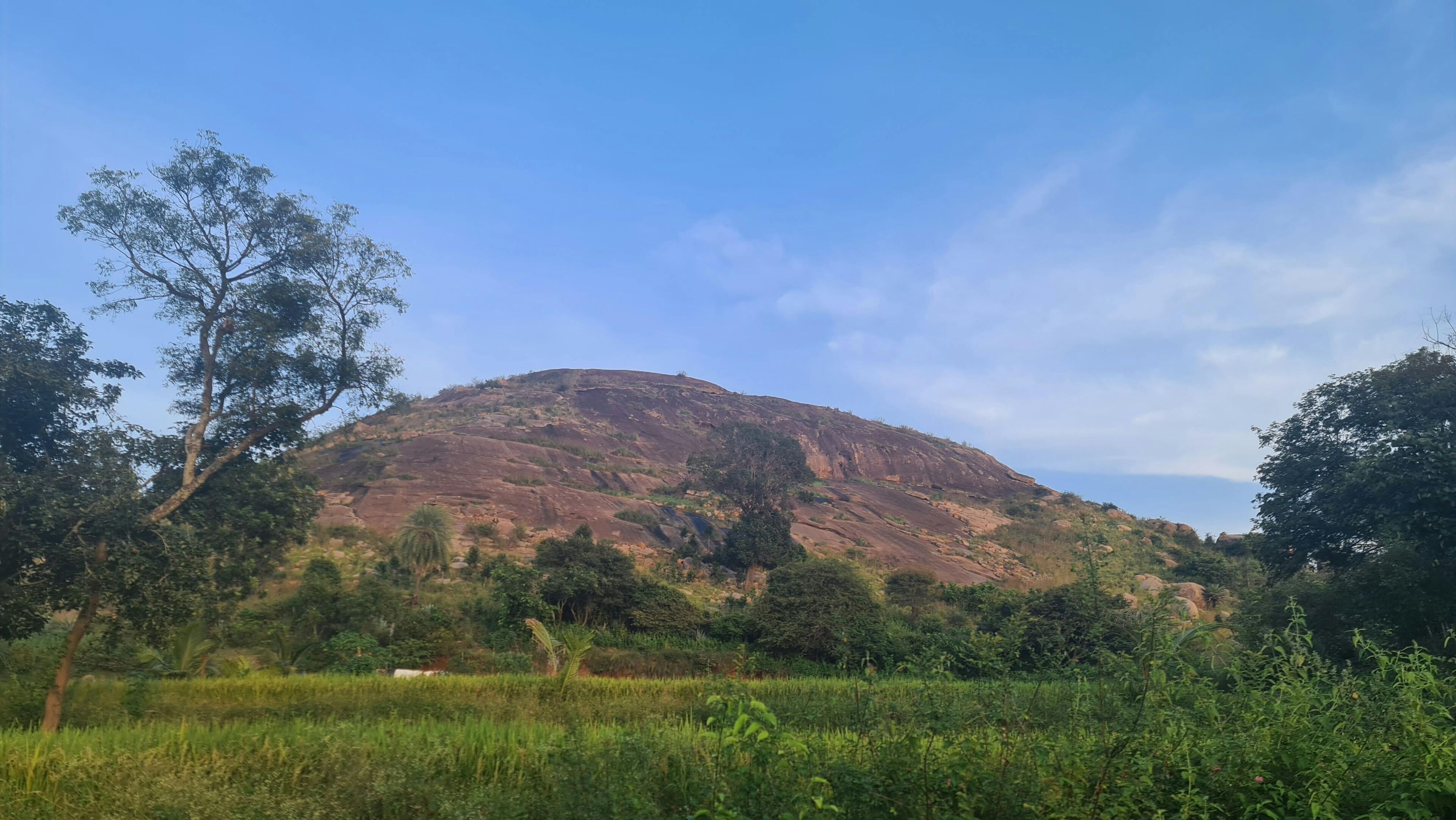 Masanipalya hillock_Manjunath Krishnamurthy