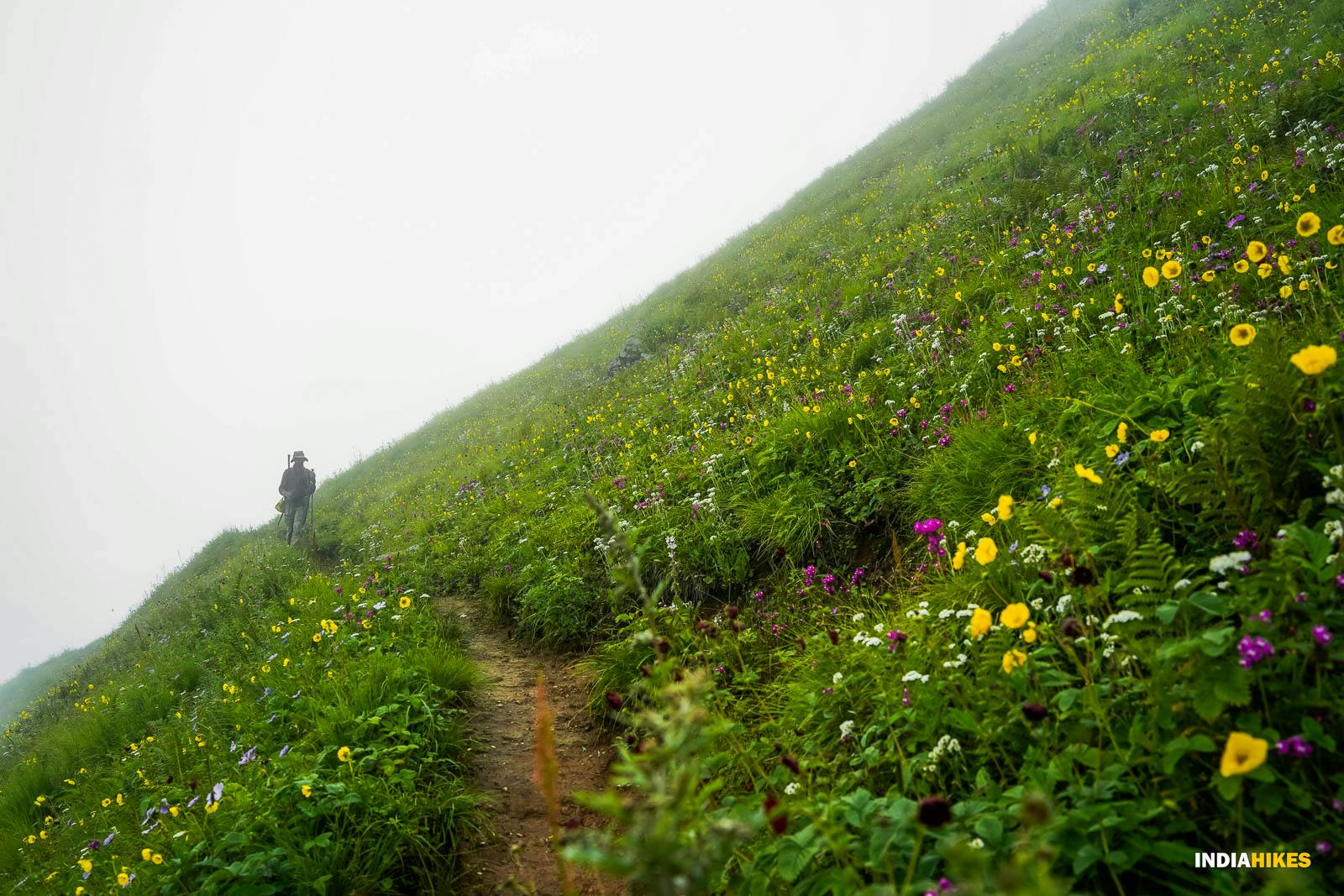 zfq f3ykikrtljp1 chandrakhanipass pritish august 02