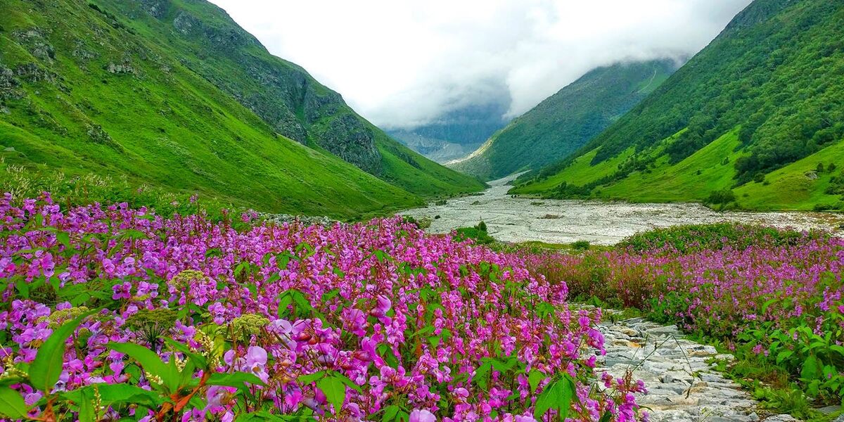 Valley of Flowers