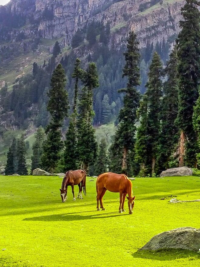 zjth kmtzajochpu tarsarmarsar tm gourabnandy landscape 1 